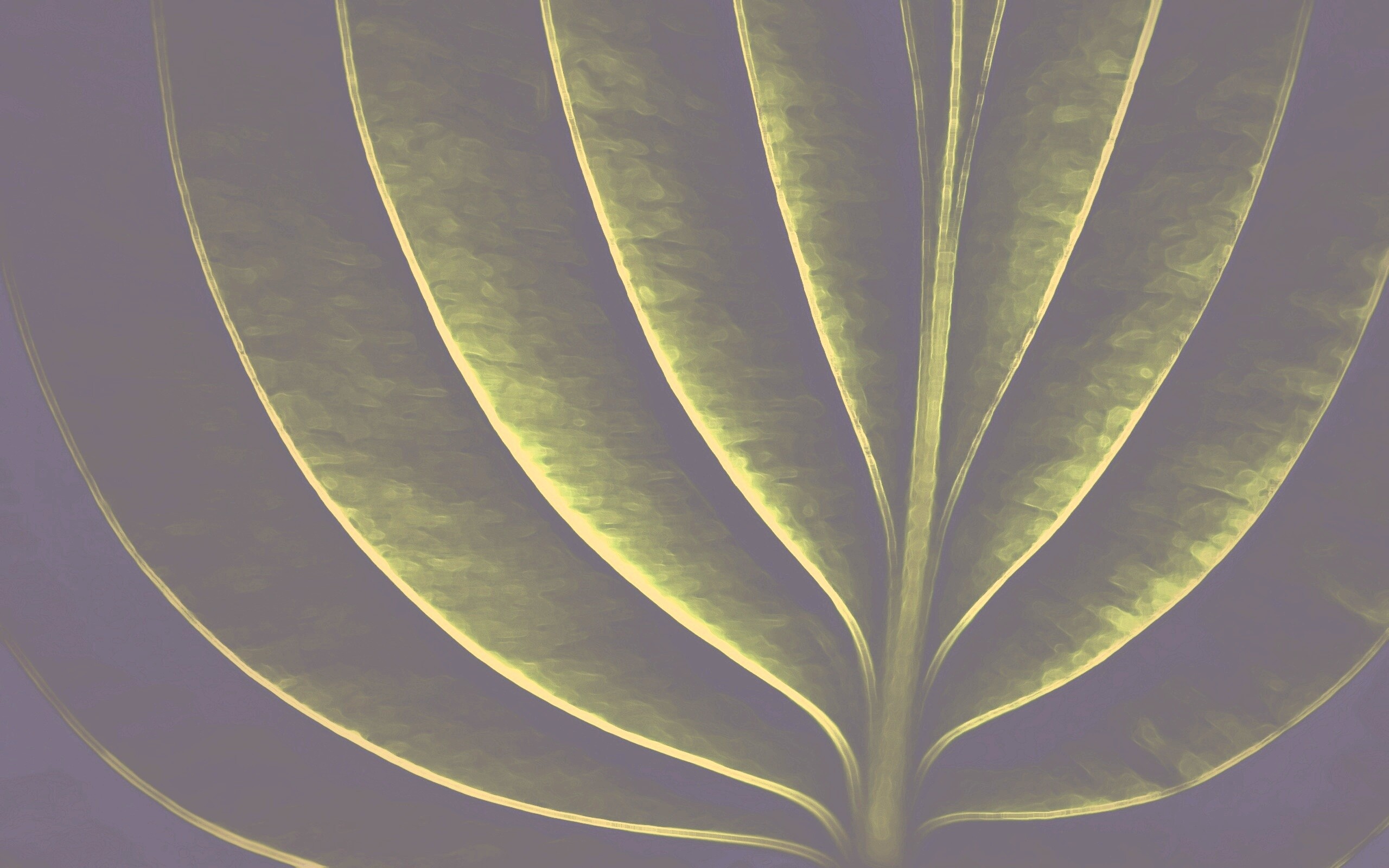 Неоновый лист обои