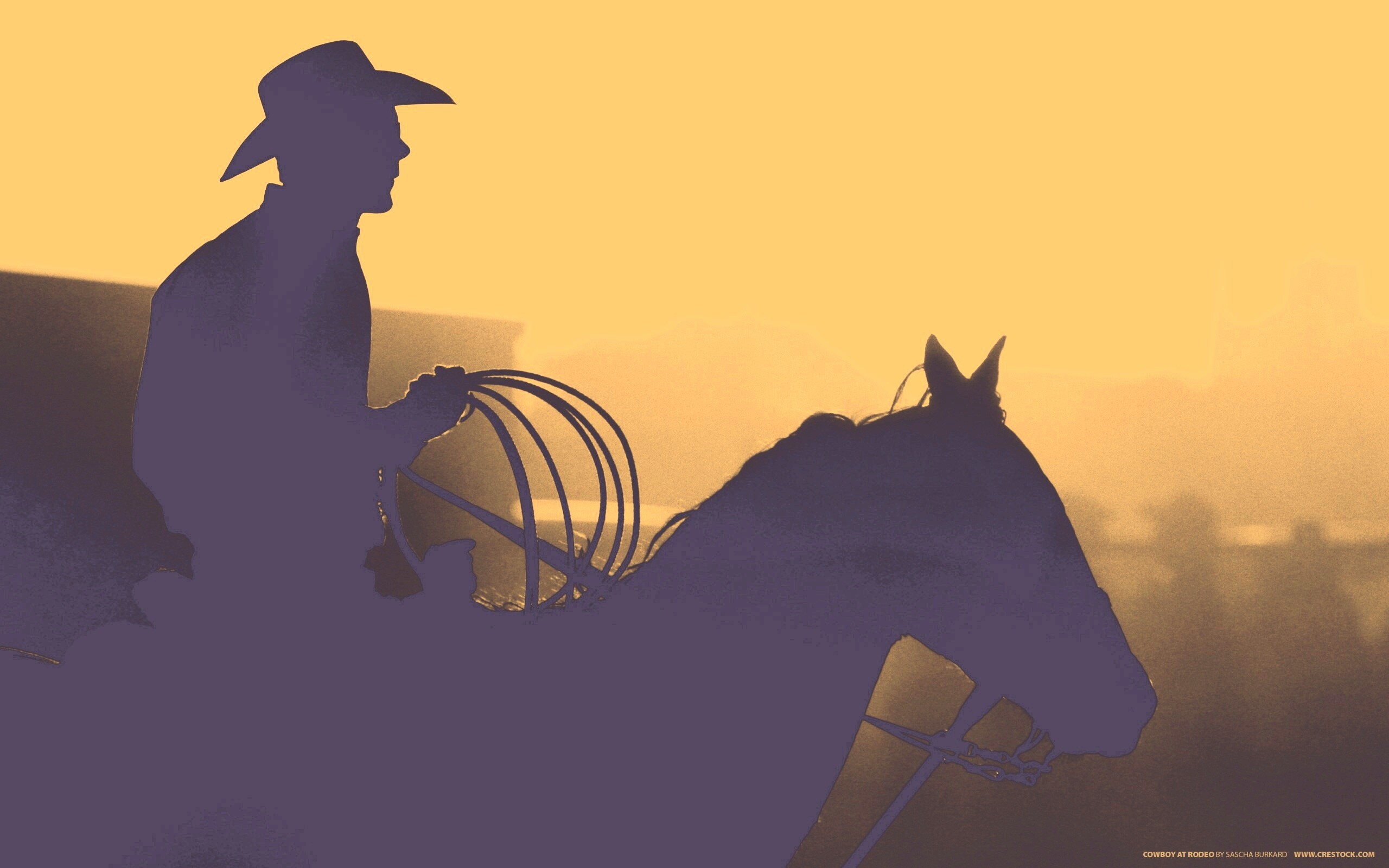 Ковбой с лассо на коне обои
