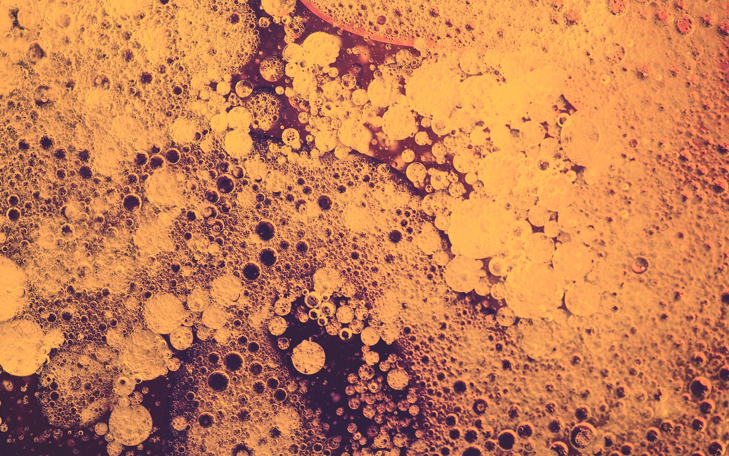 Реакция Вассермана в фиолетовых тонах обои