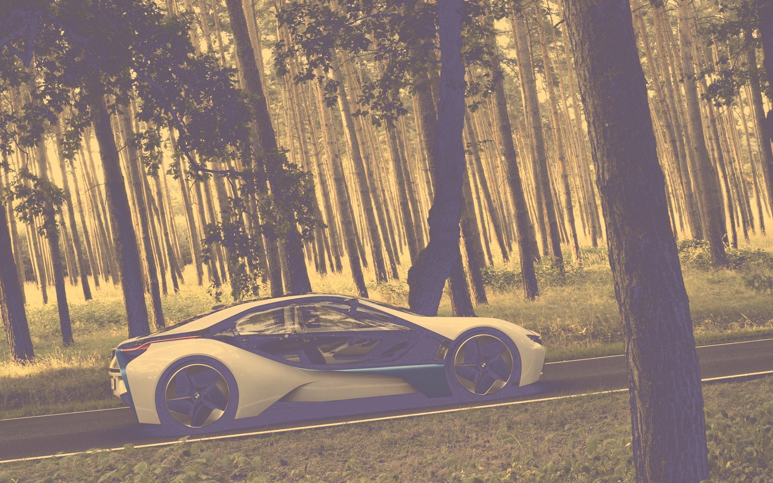 Спорткар BMW на лесной дороге обои