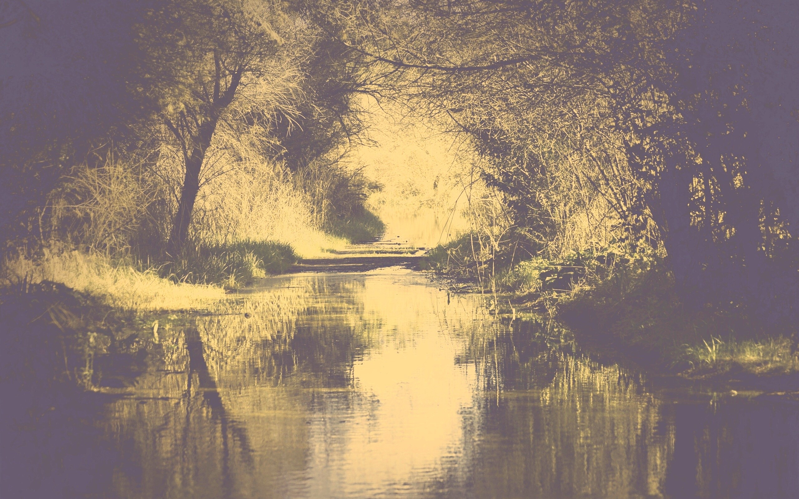 Лесная заросшая река обои