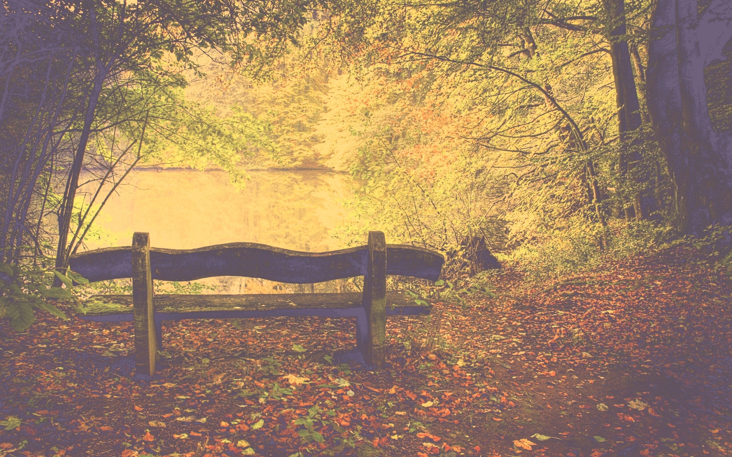 Скамейка в лесу обои