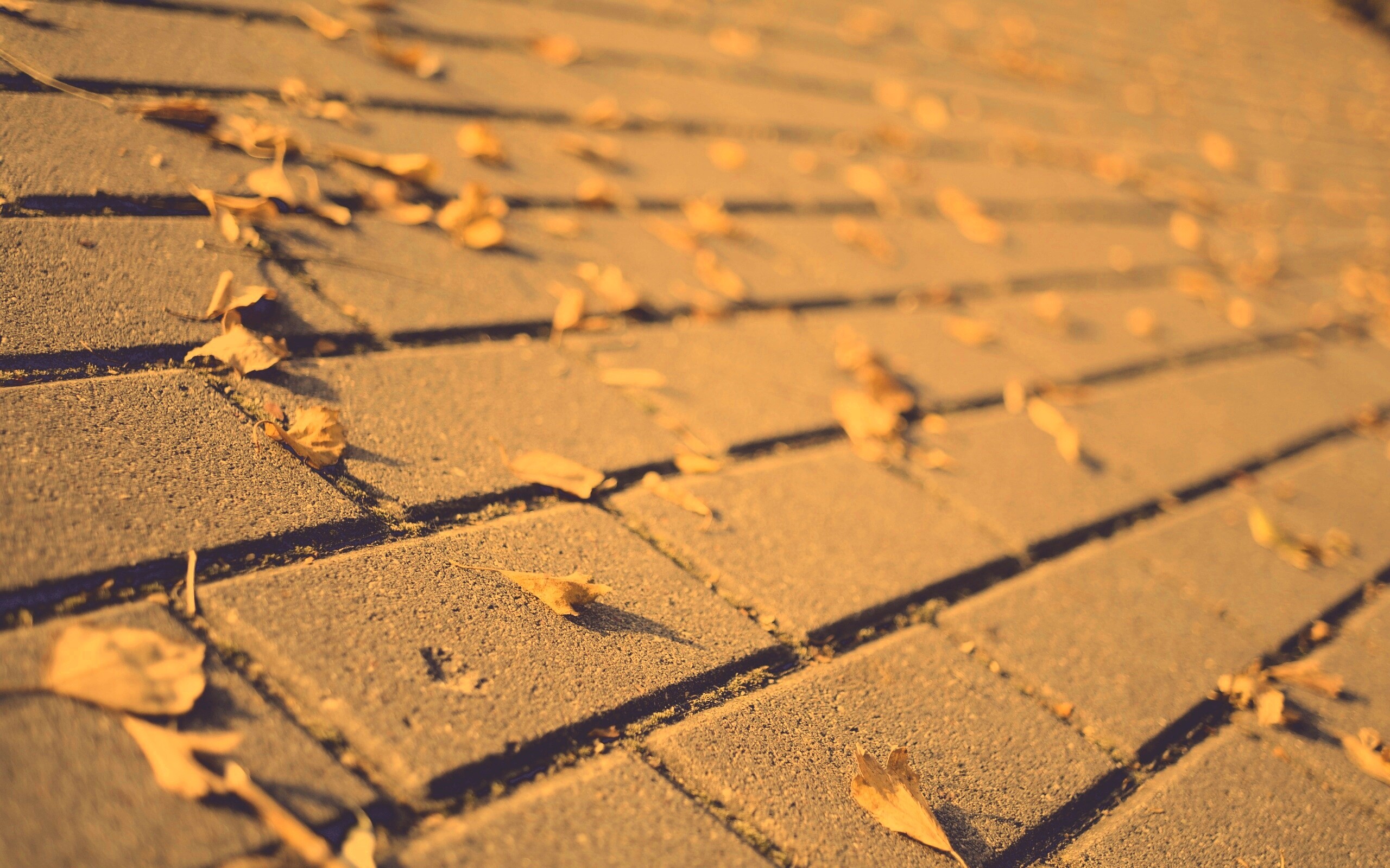 Тротуар обои