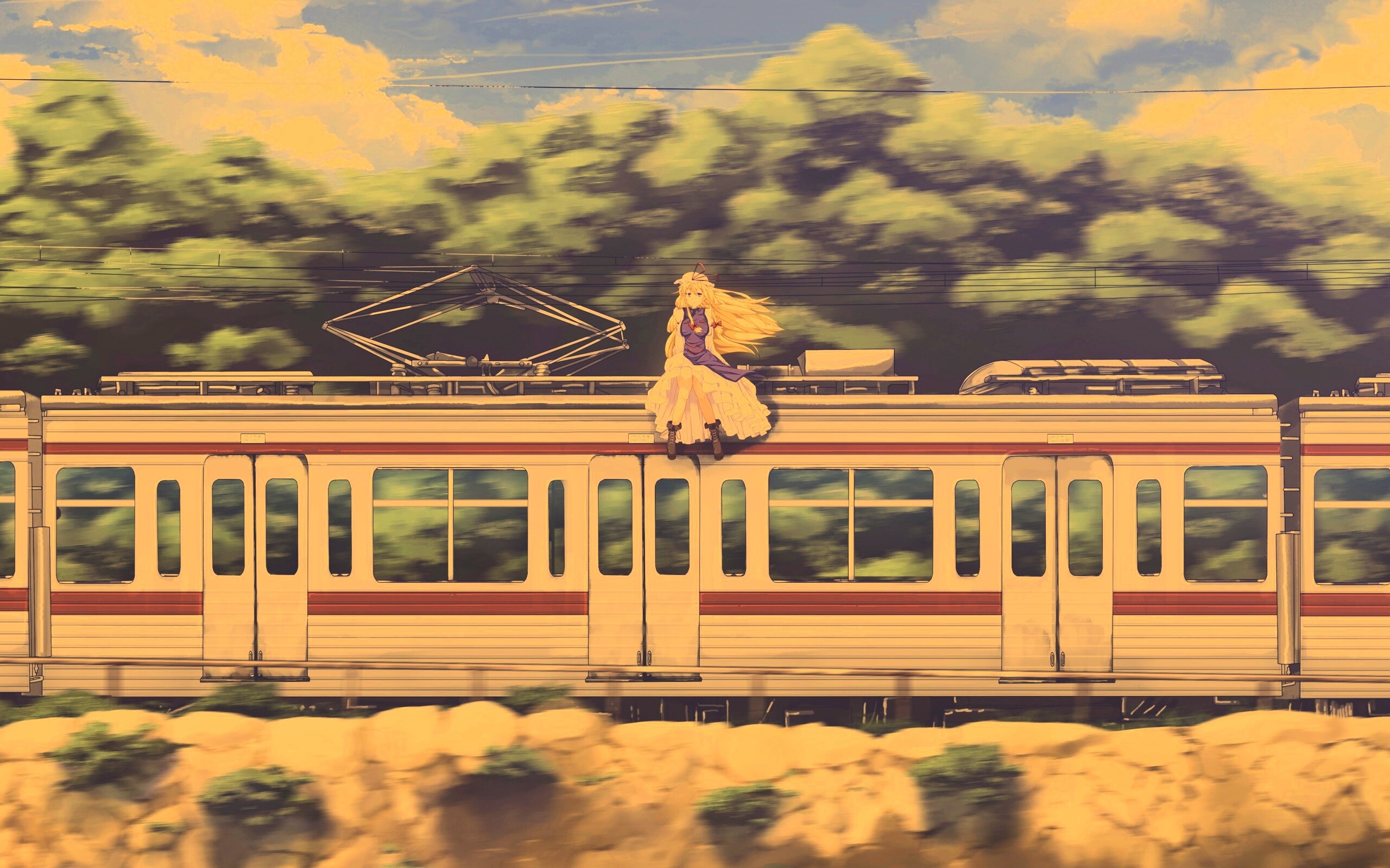 Девушка на крыше поезда обои