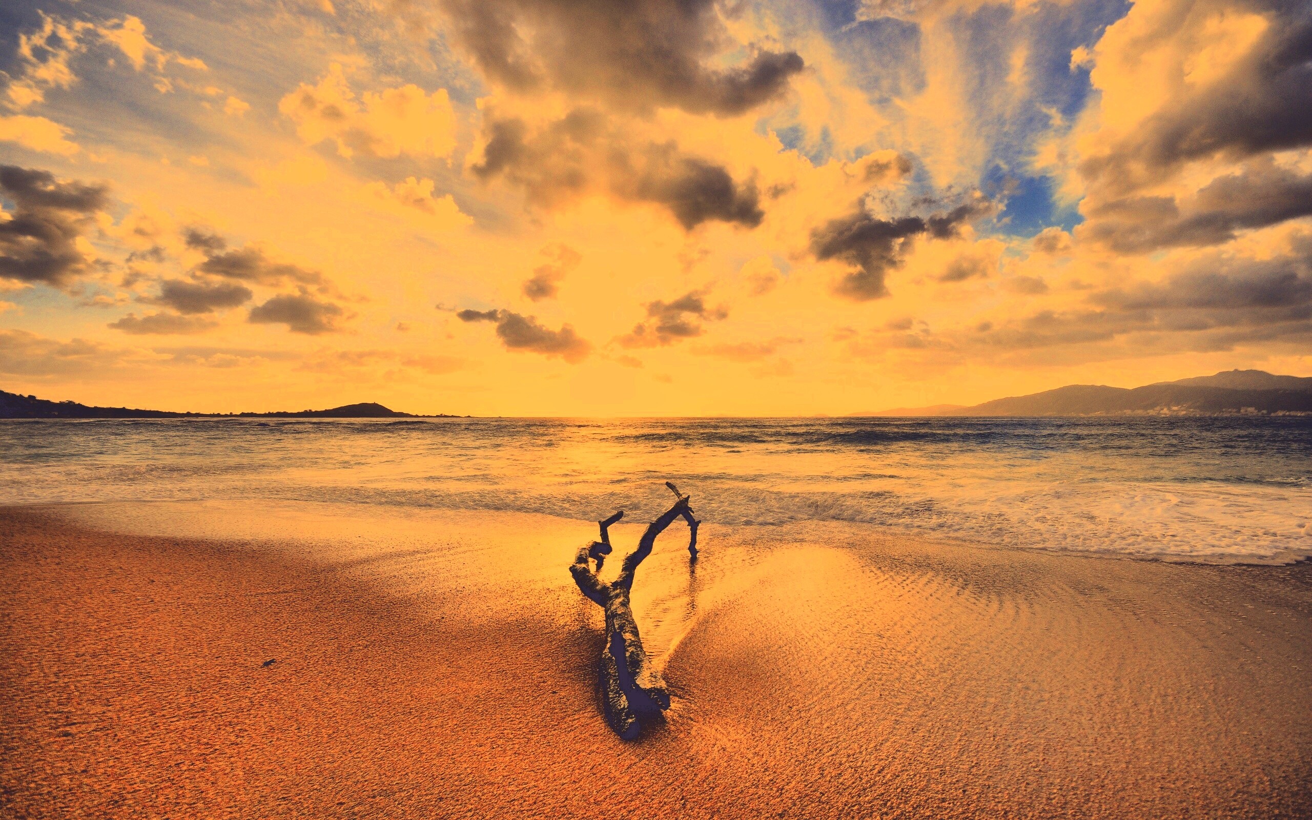 Коряга на пляже обои