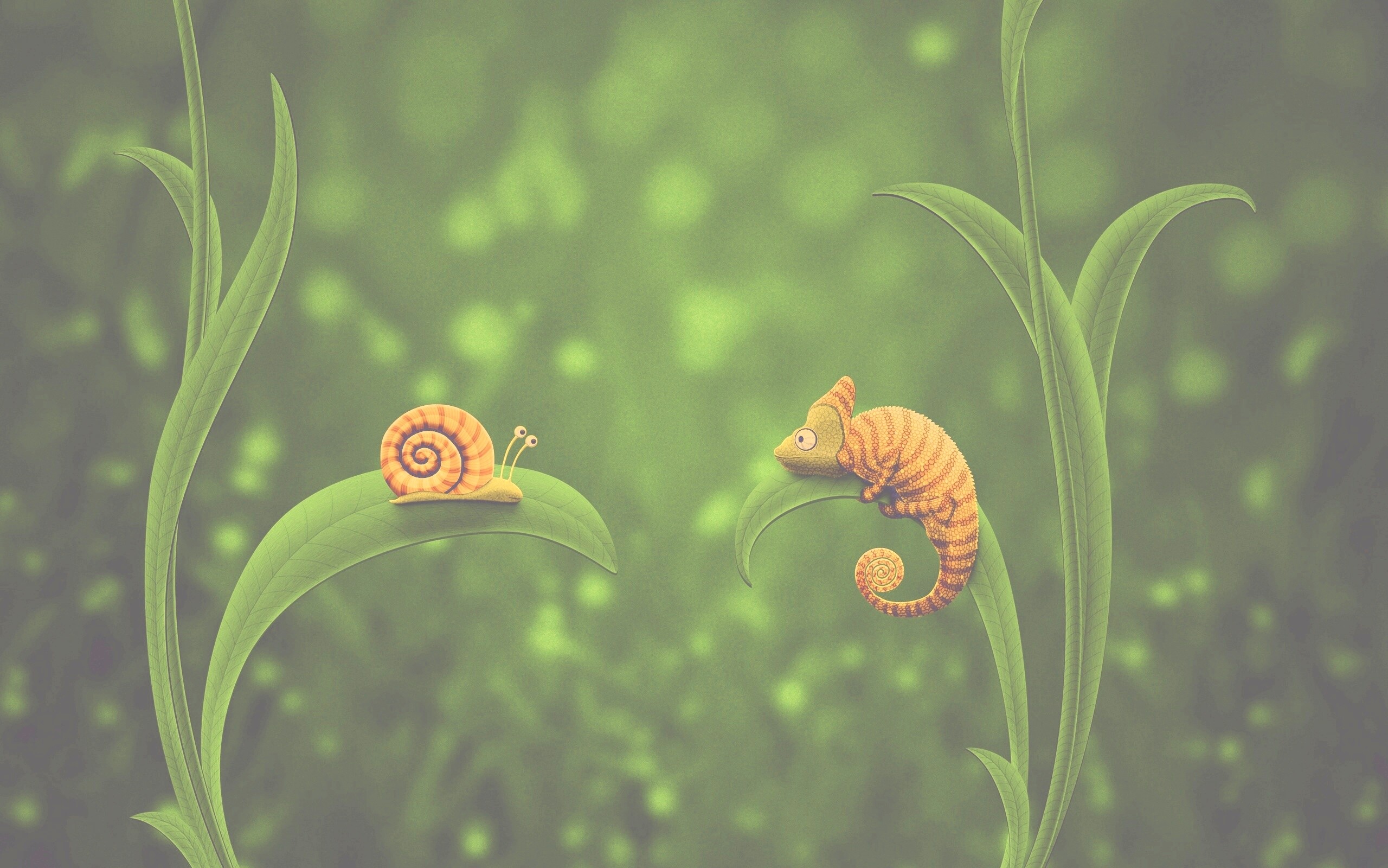 Хамелеон замаскированный под улитку обои