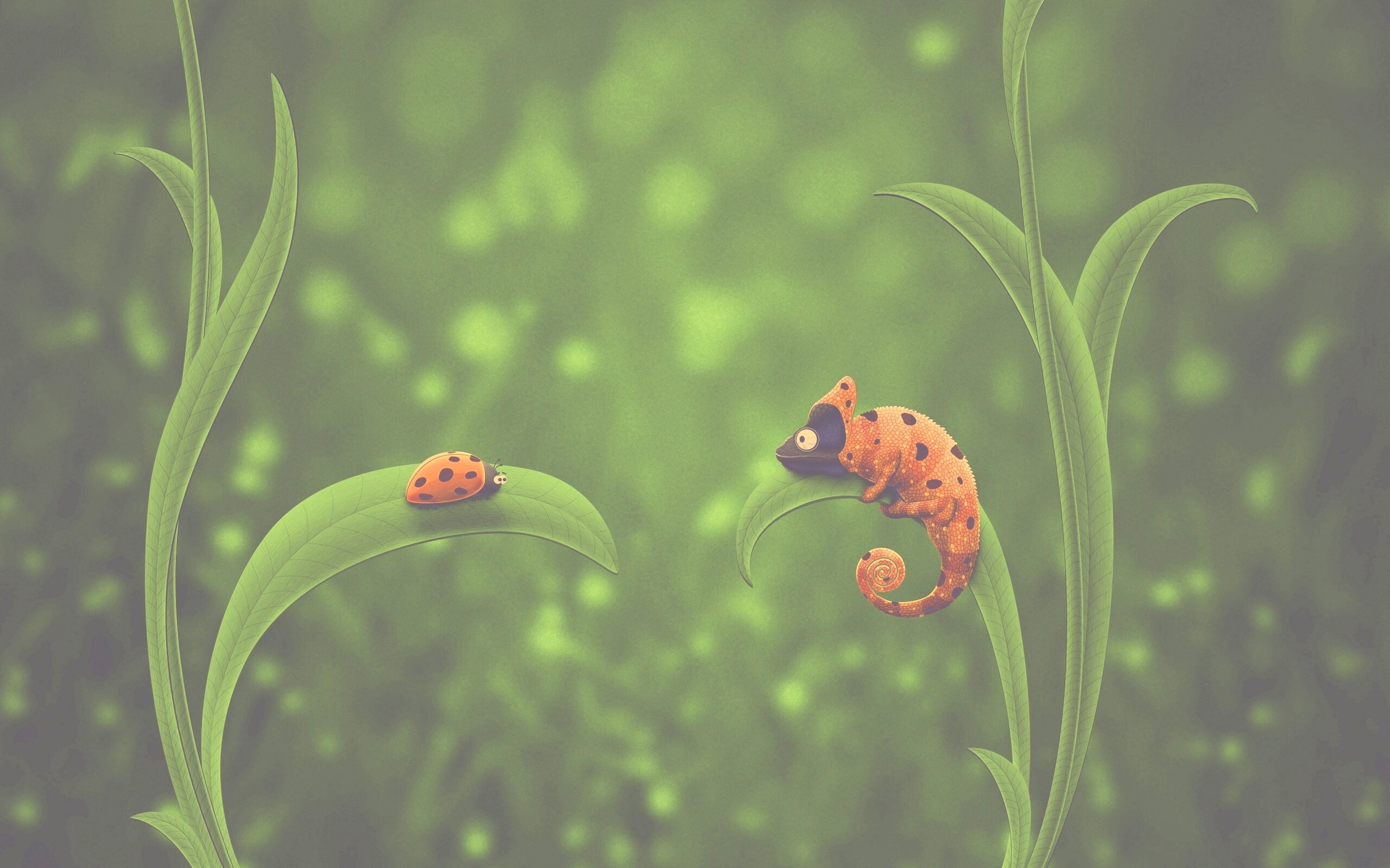 Хамелеон  замаскированный под божью коровку обои