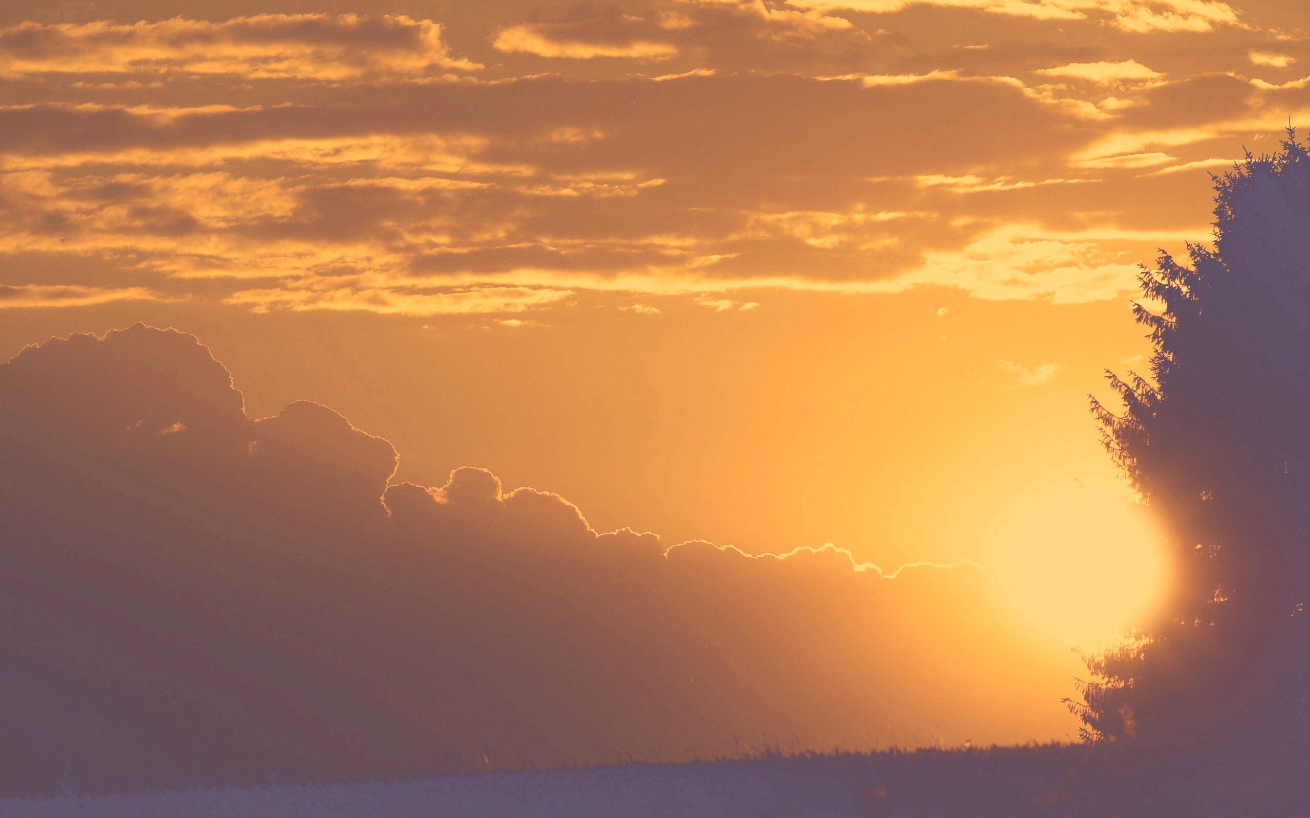 Теплый закат над полем обои
