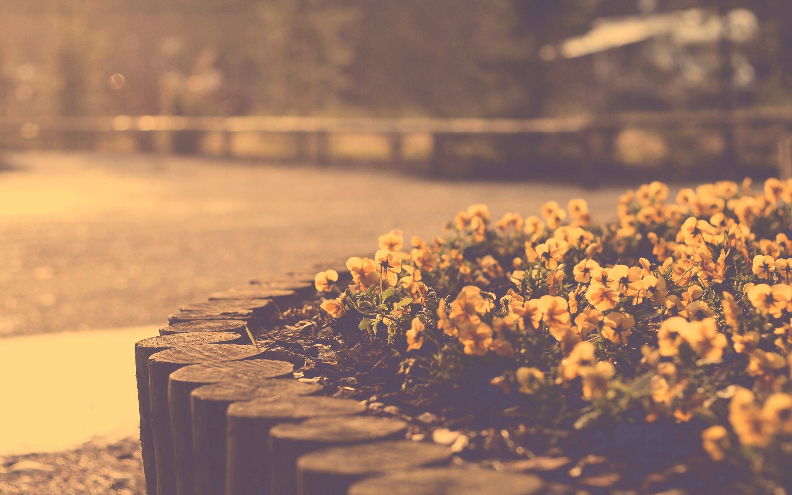 Красивая цветочная клумба обои