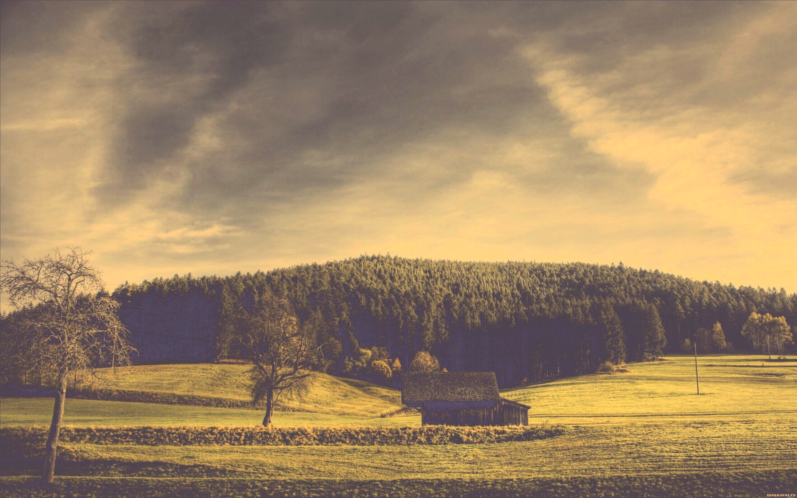 Домик в поле обои