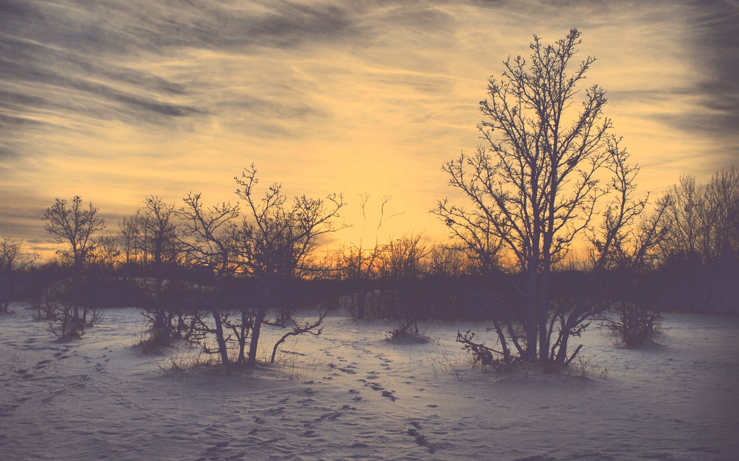 Закат в зимнем лесу обои