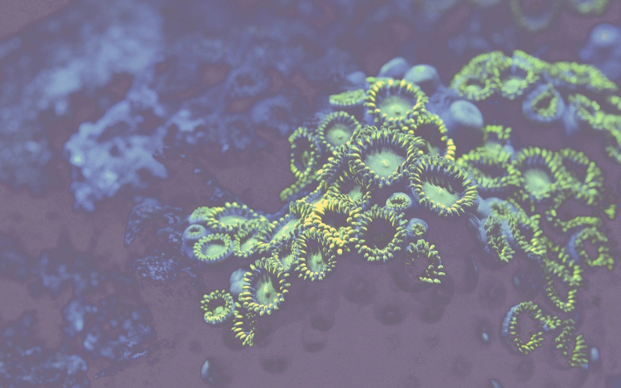 Морское дно обои