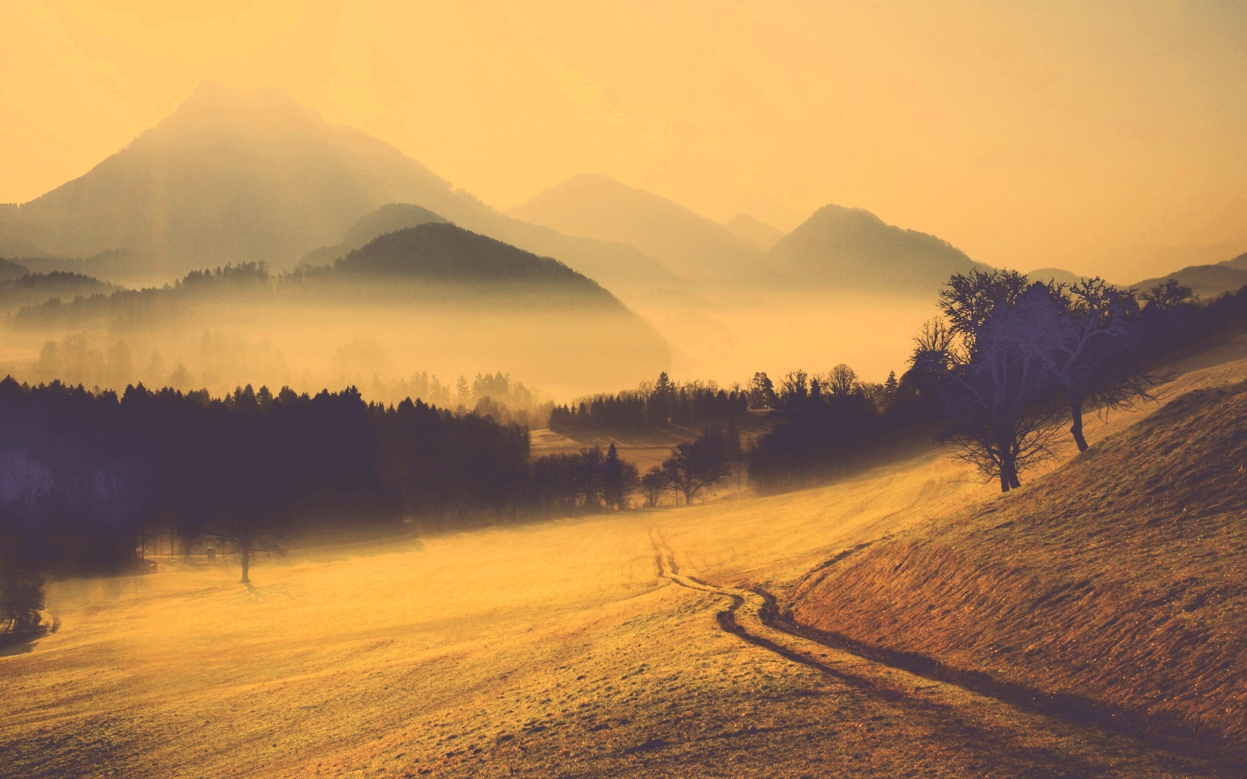 Дорога в туманную долину обои