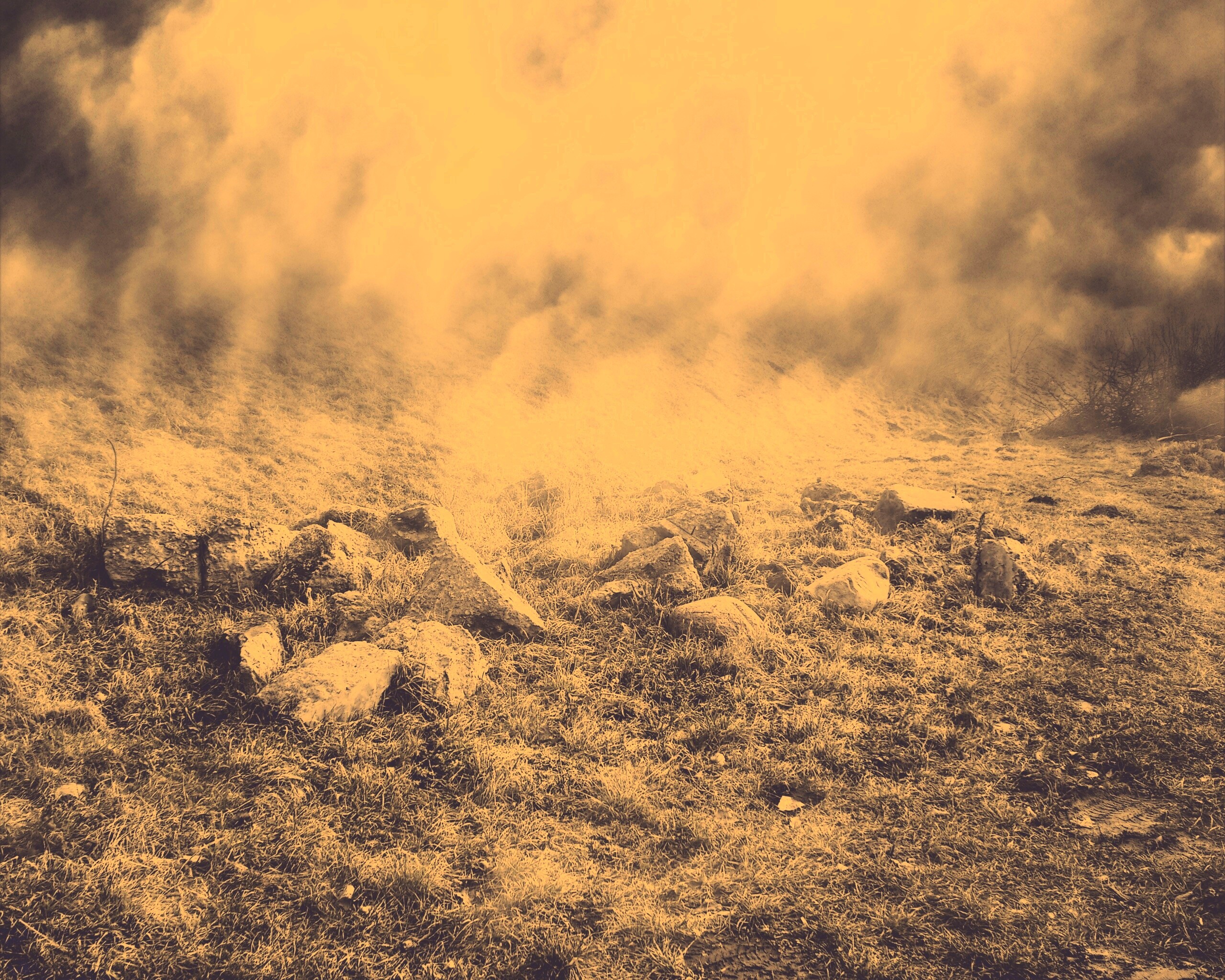 Туман на склоне обои