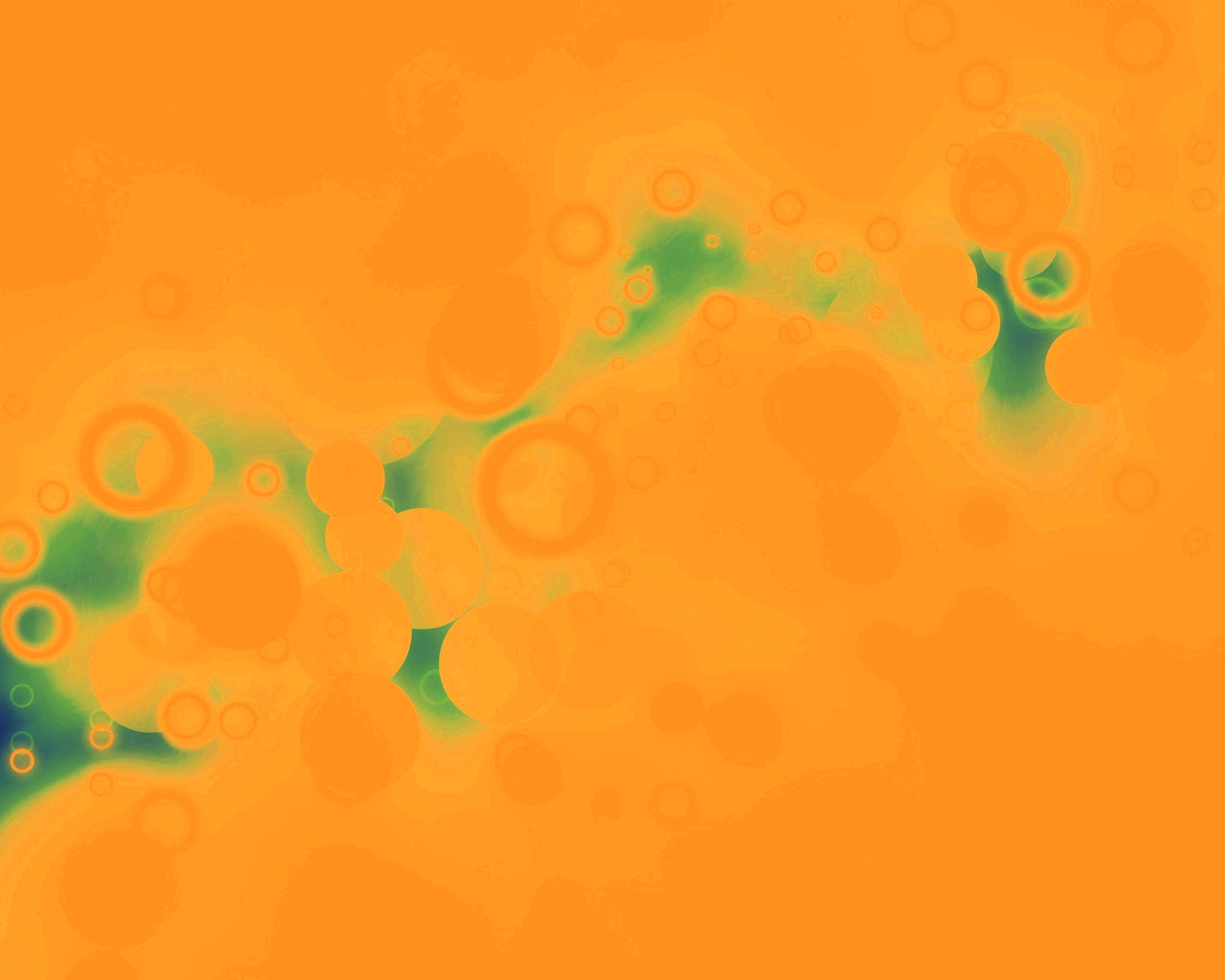 Белые круги и блики обои