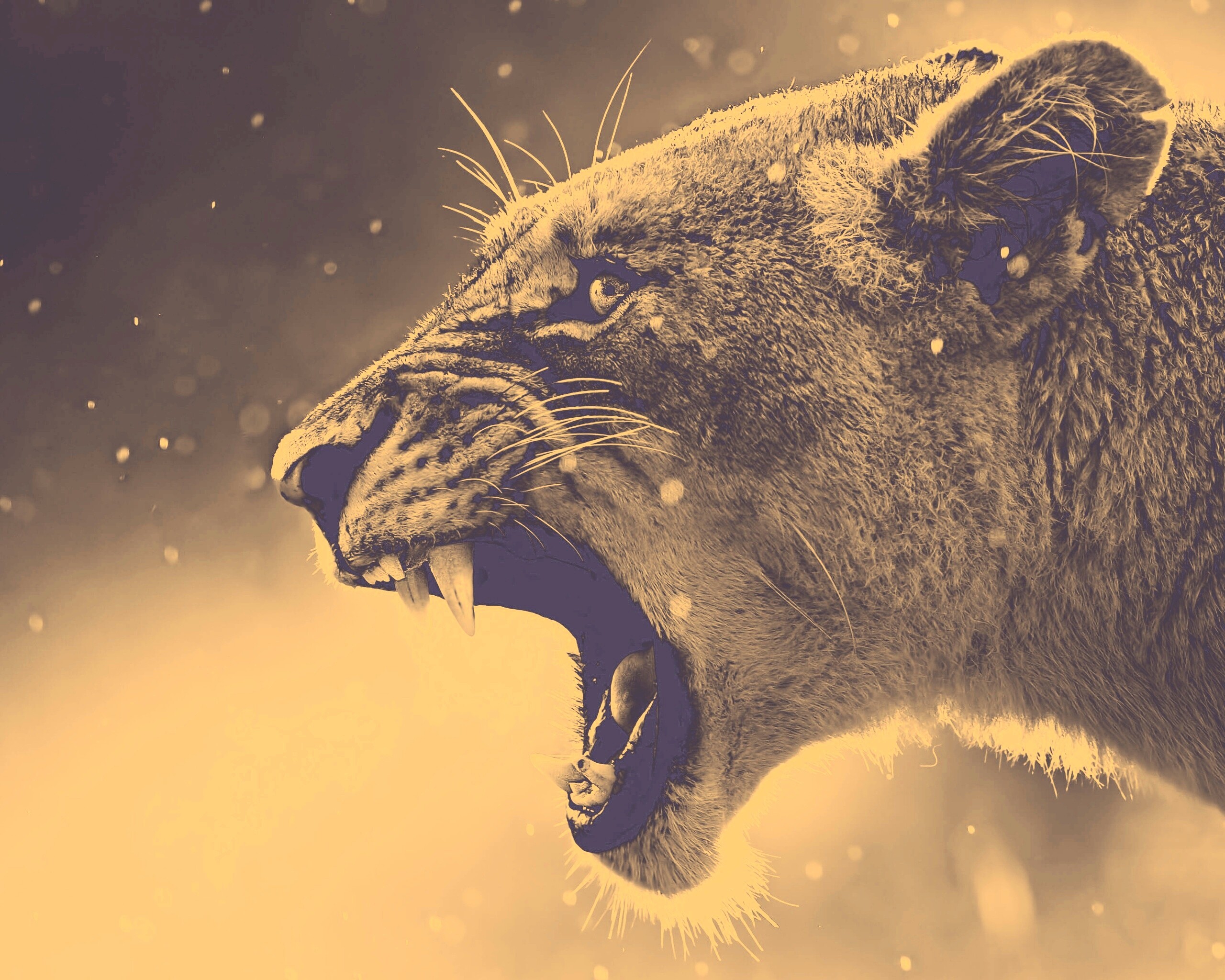 Грозный львиный рык обои