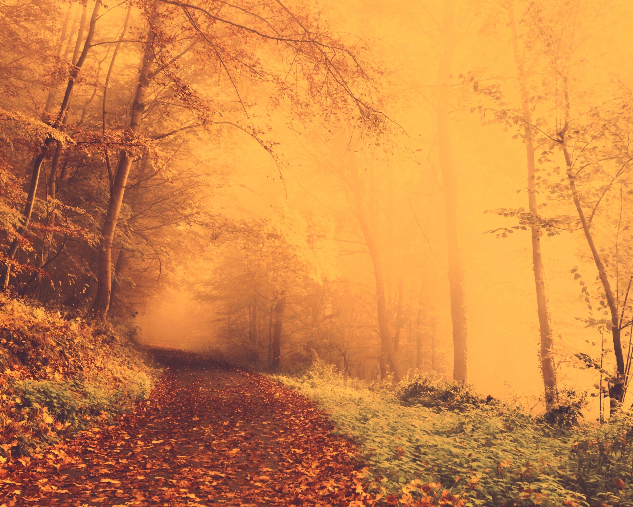 Осенний мистический пейзаж обои