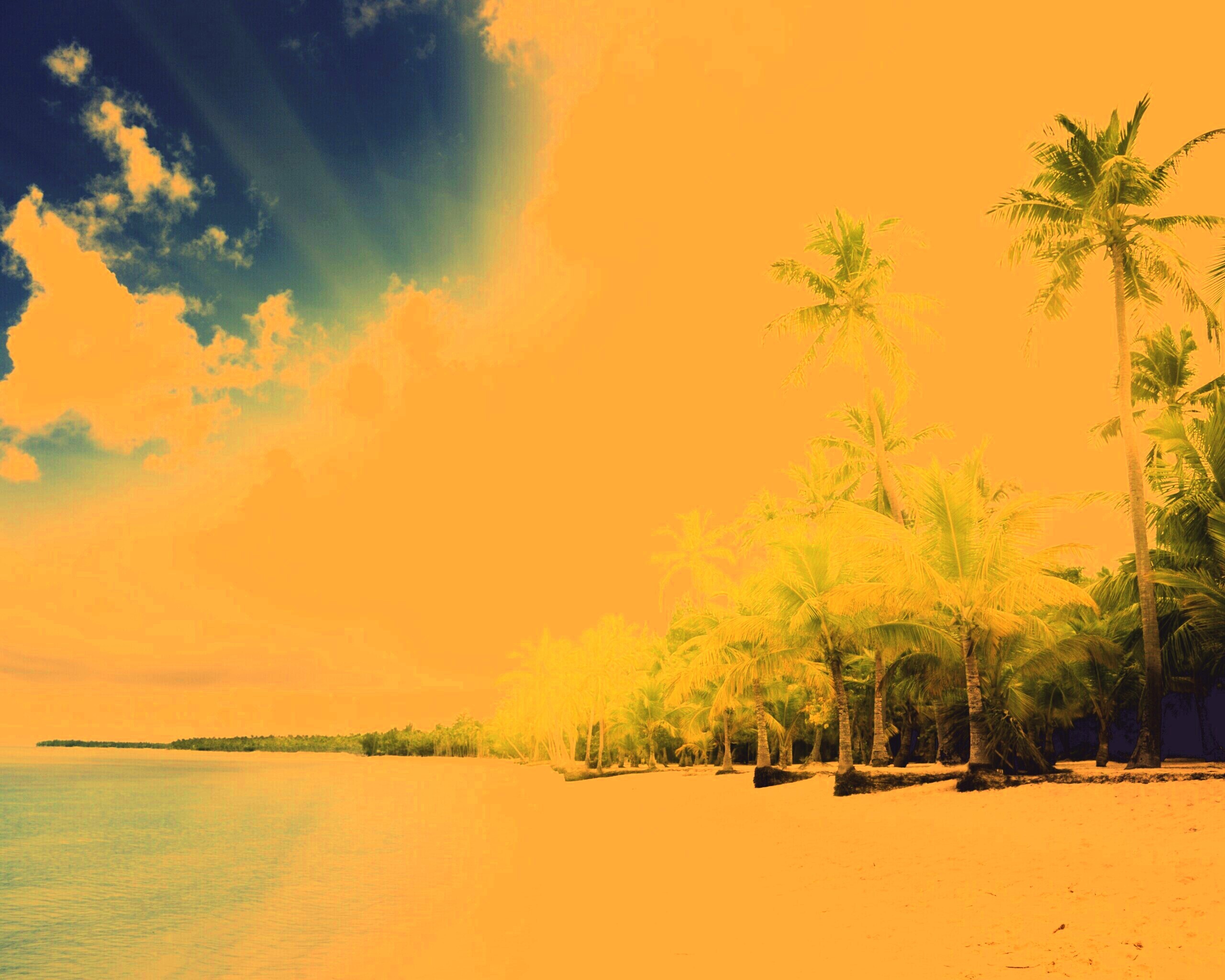 Тропическое побережье обои