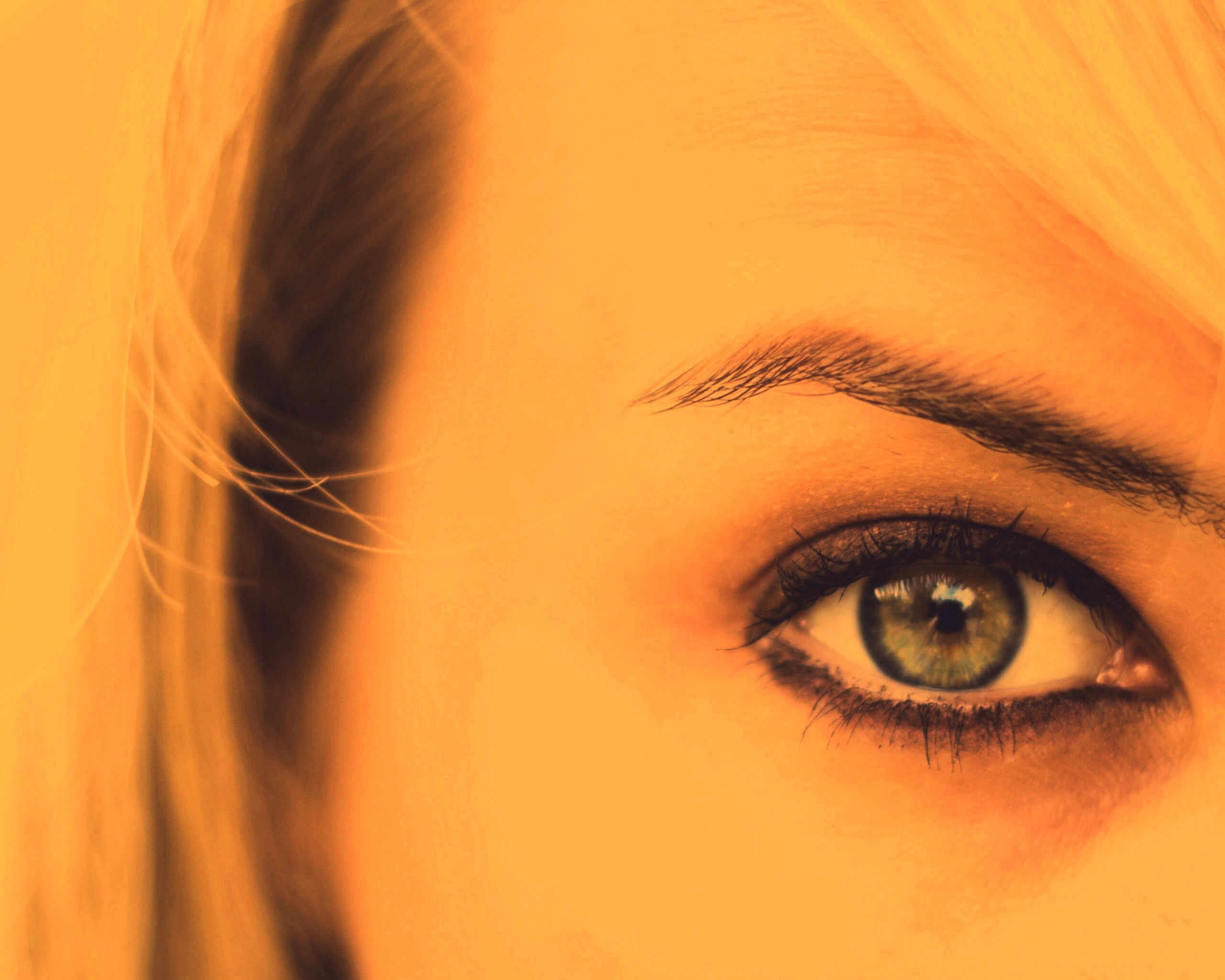 Авторское фото обои