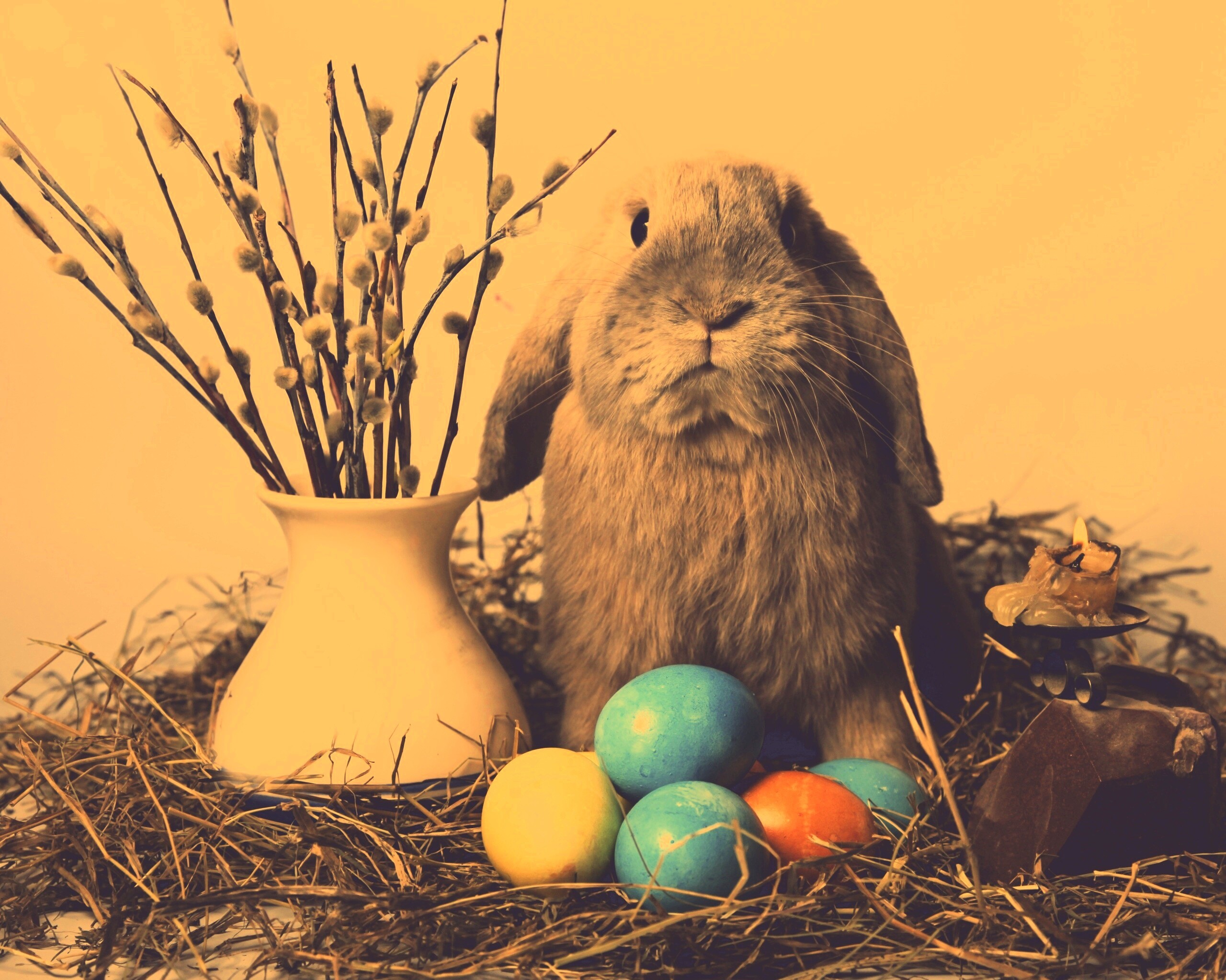 Пасхальный кролик обои