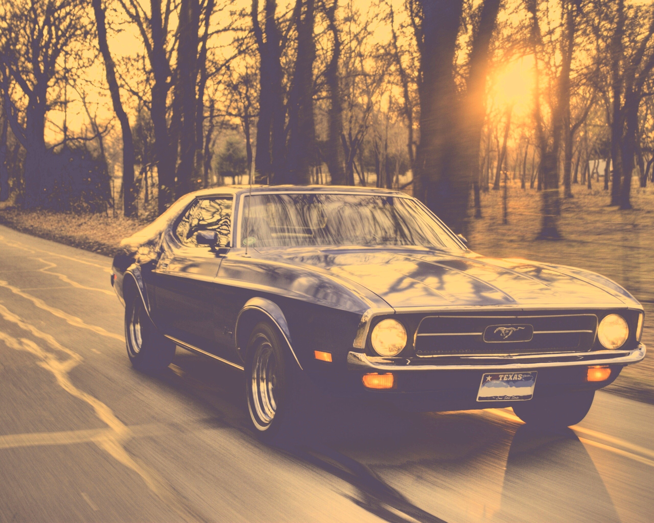 Мустанг обои