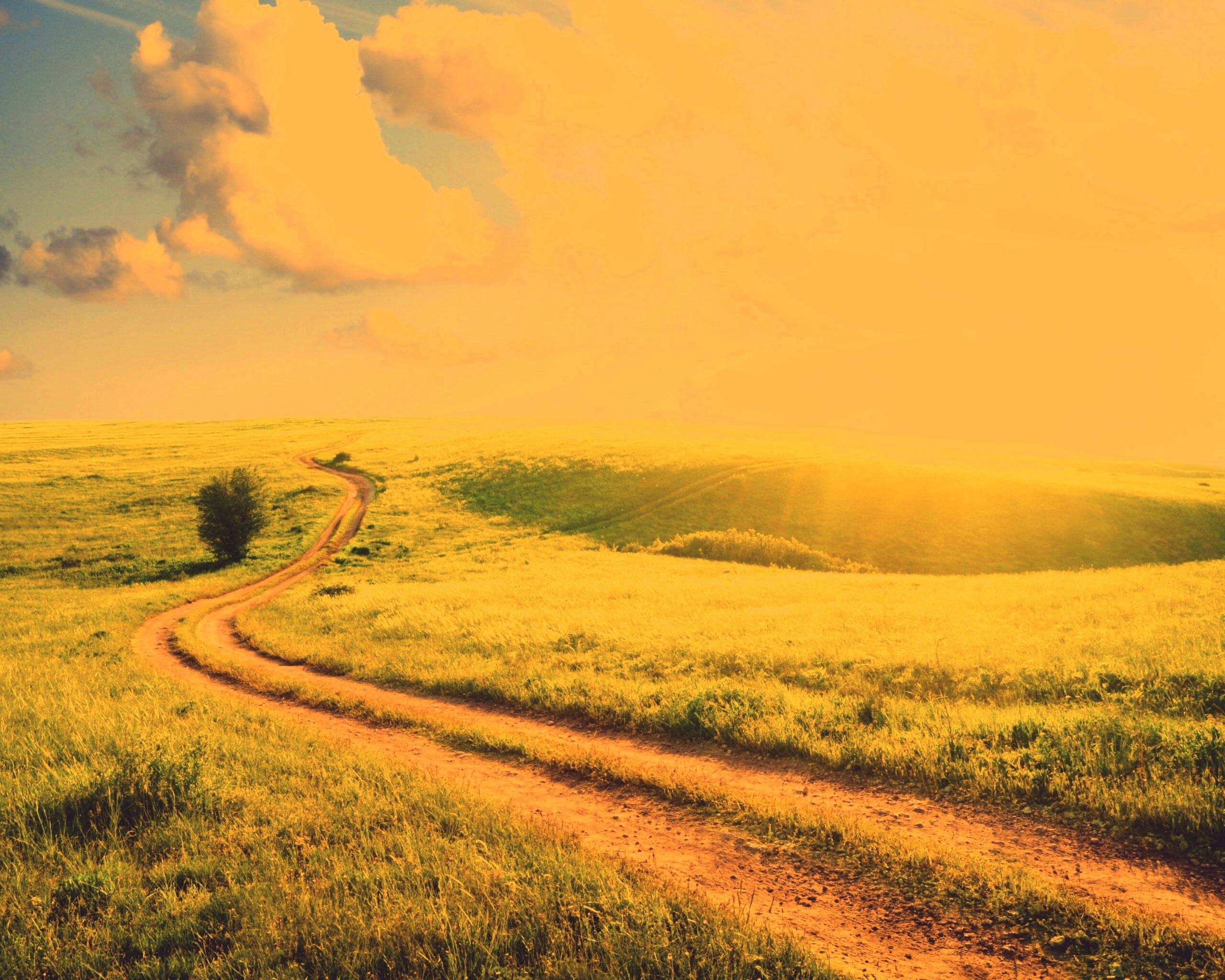 Дорога через луг обои