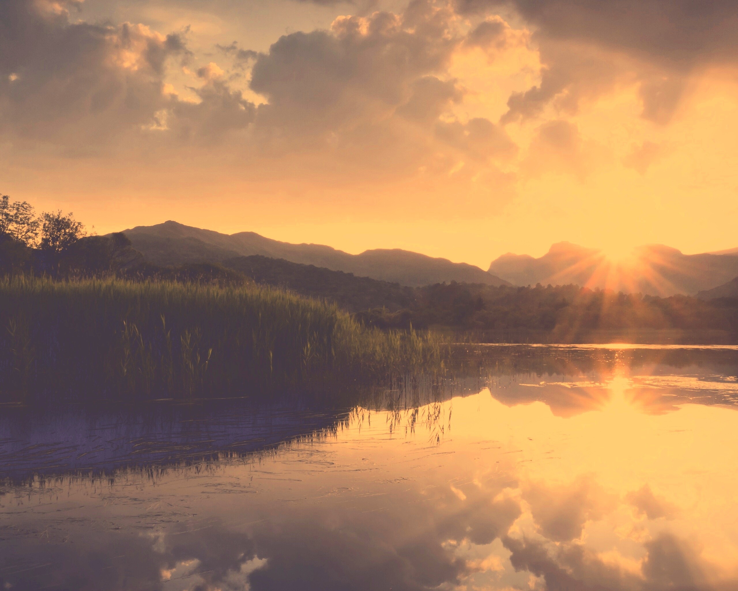 Закат за лесом обои