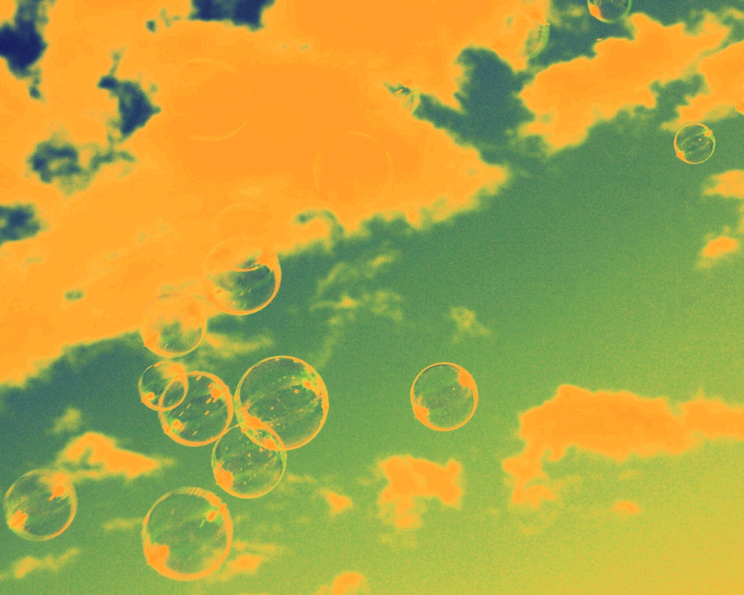 Мыльные пузыри в небе обои