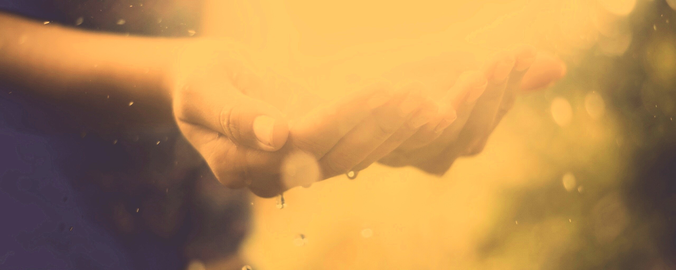 Дождь в ладонях обои