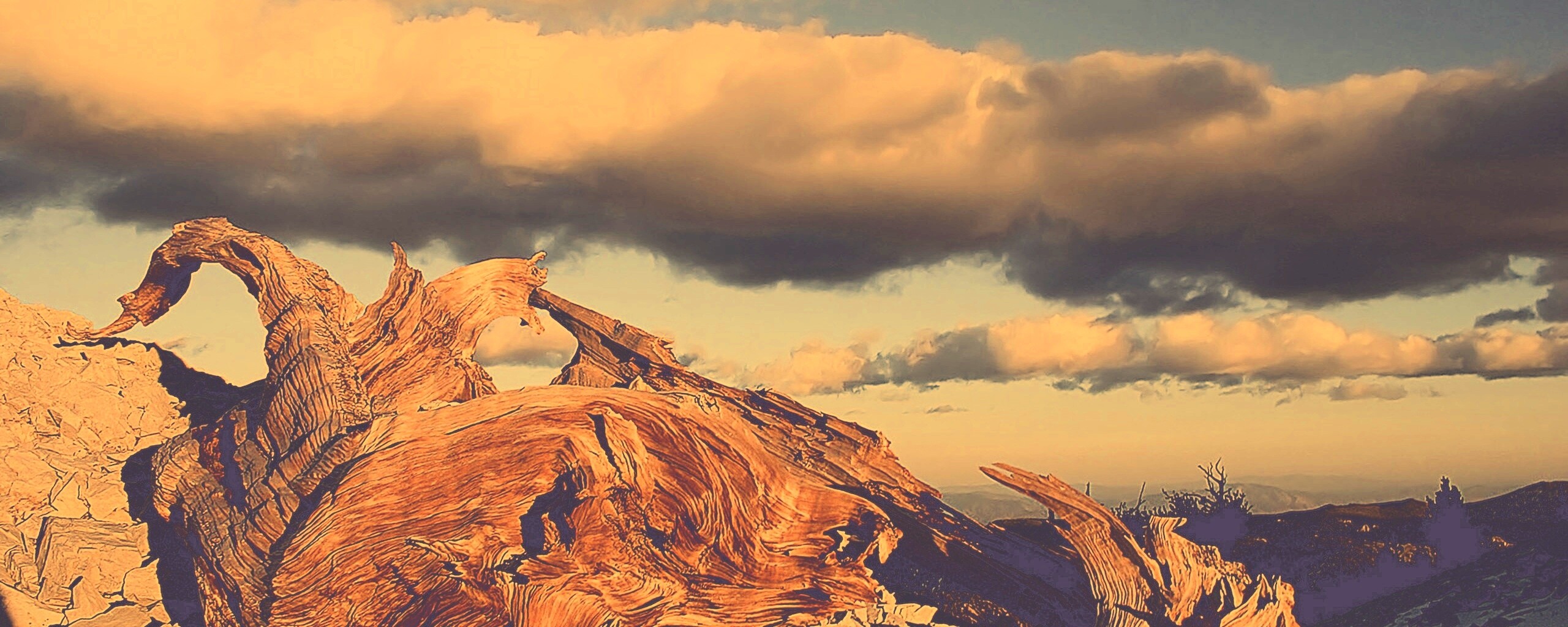 Прелести природы обои