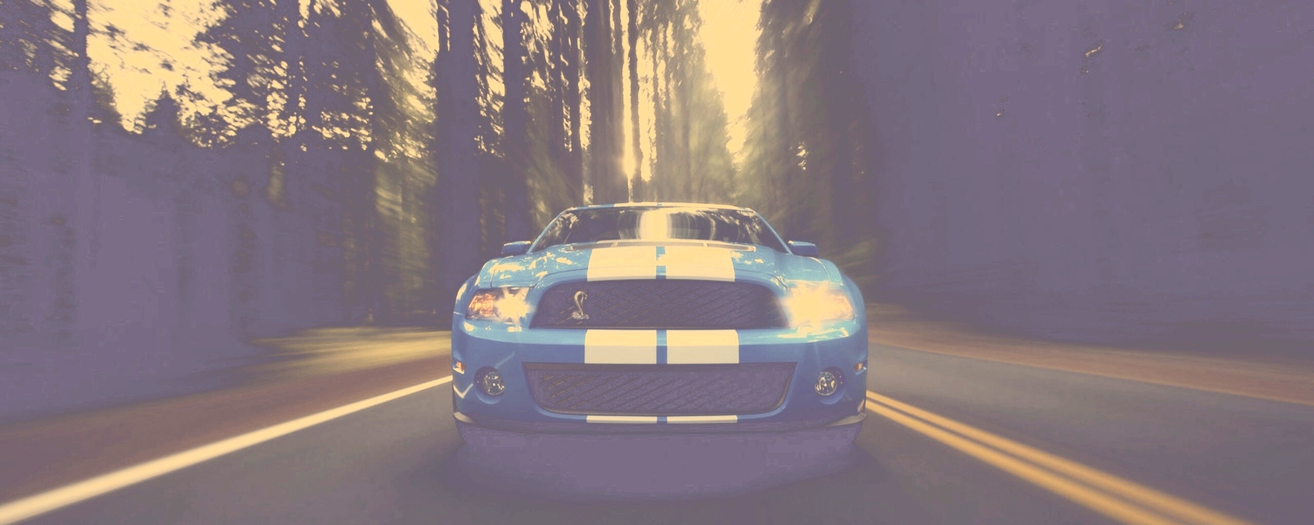 Форд Шелби обои