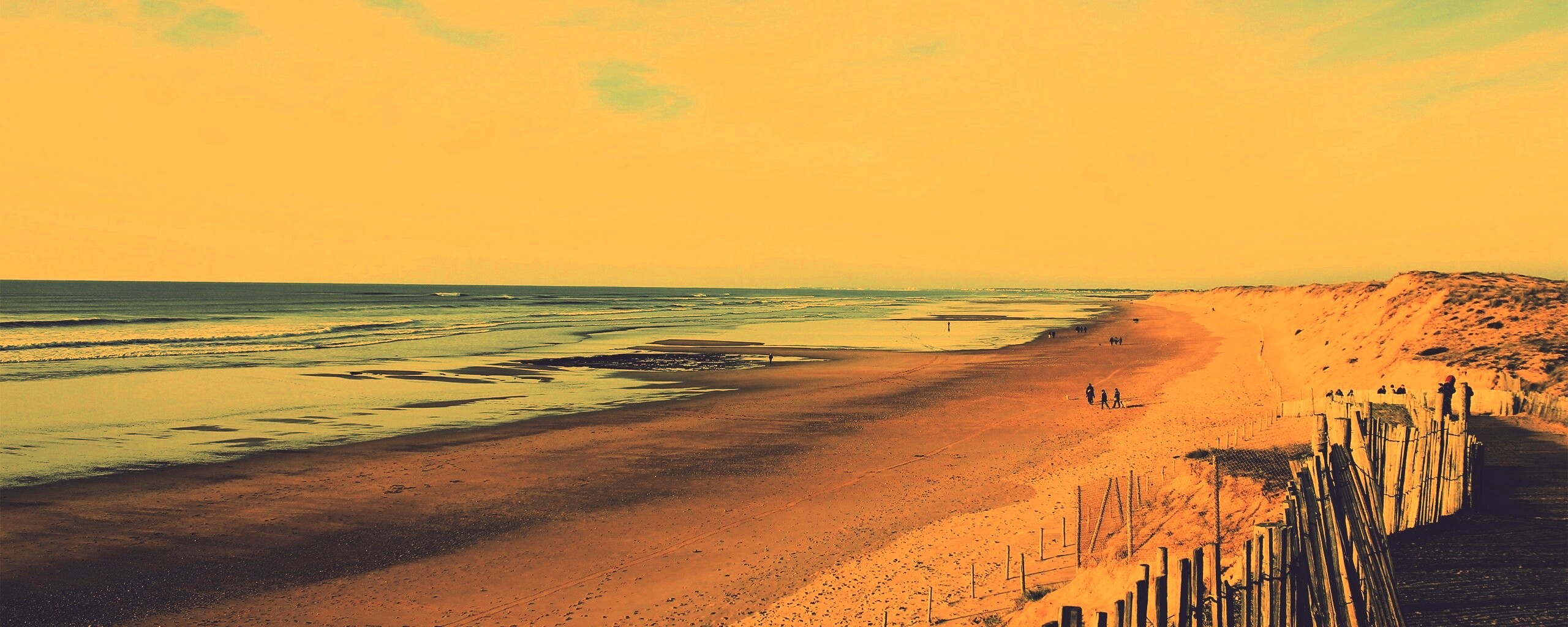 Обмелевший берег обои