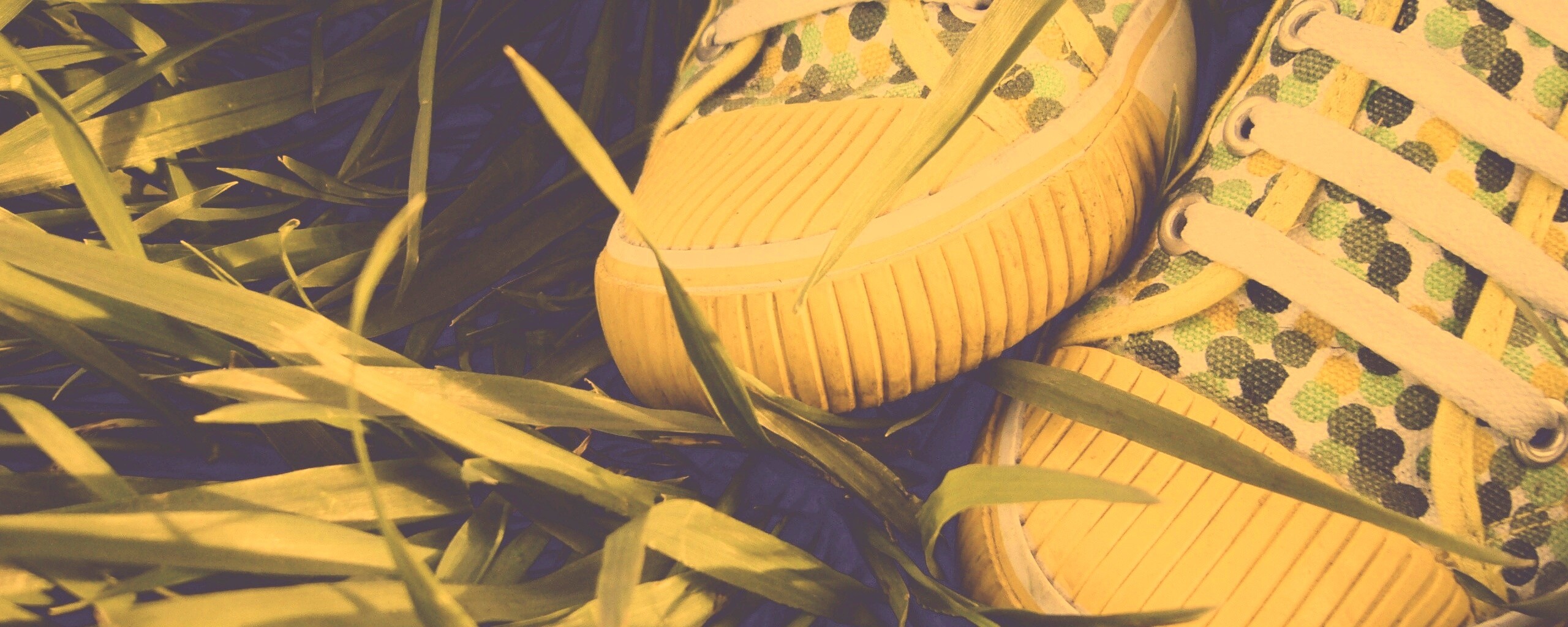 Желтые кеды в горошек обои