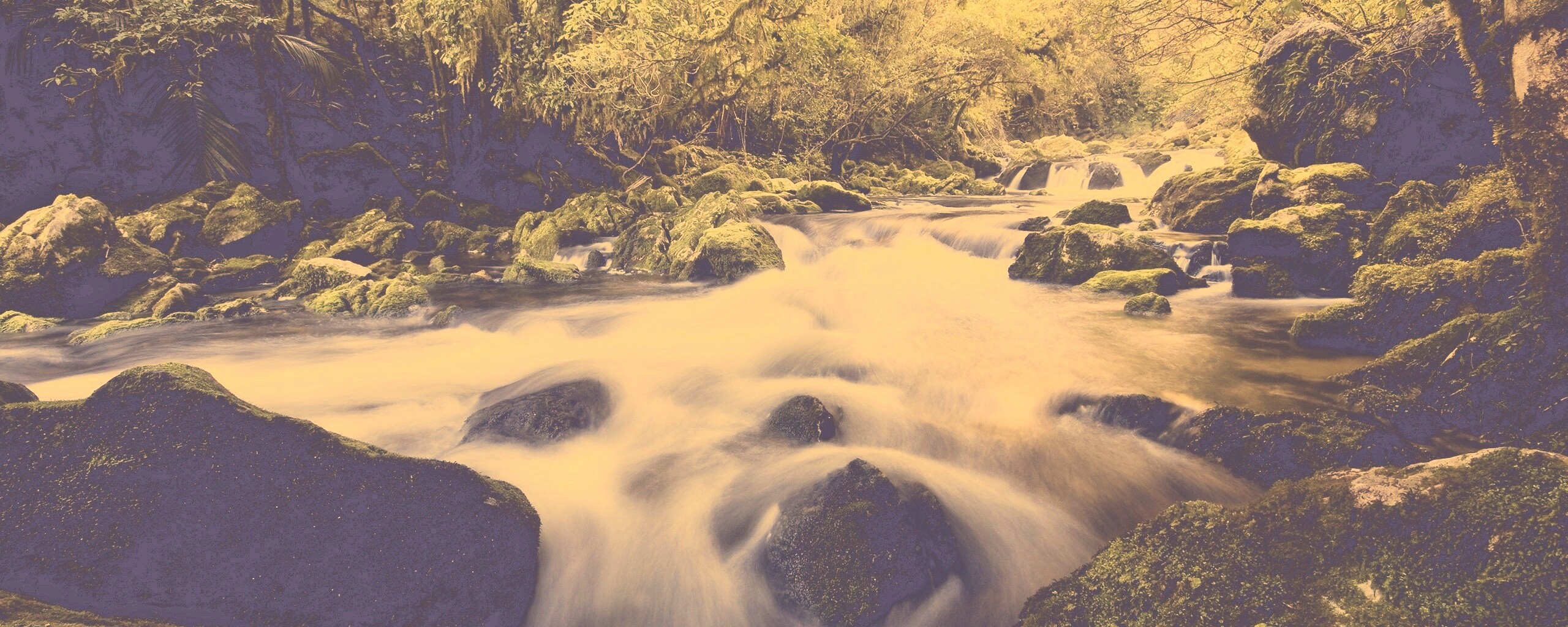 Лесной руче обои