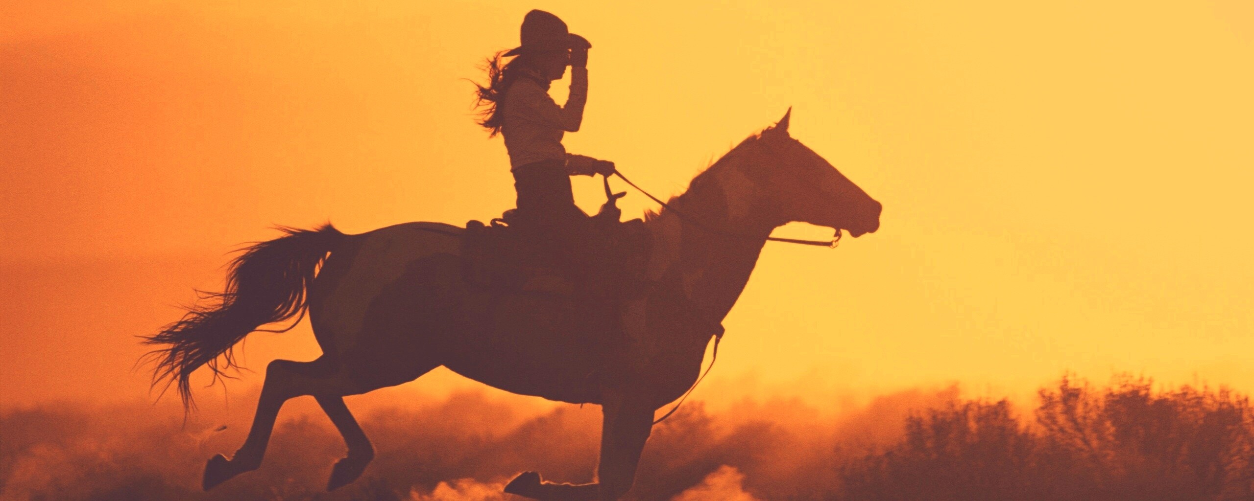 Наездница на закате обои