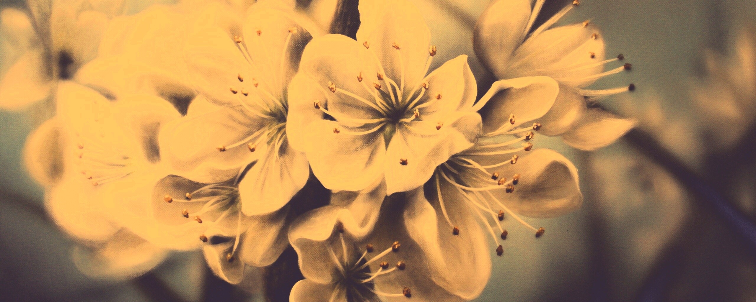 Яблоня в цвету картина обои