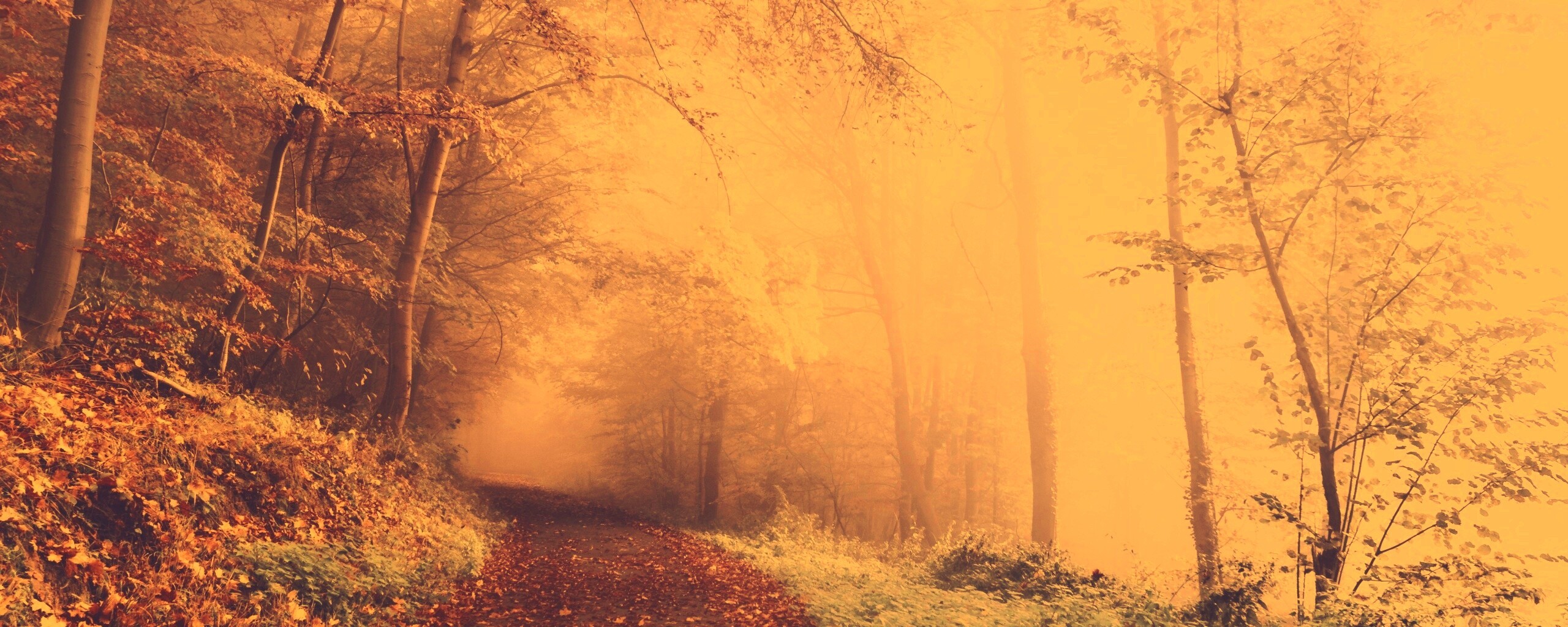 Осенний мистический пейзаж обои