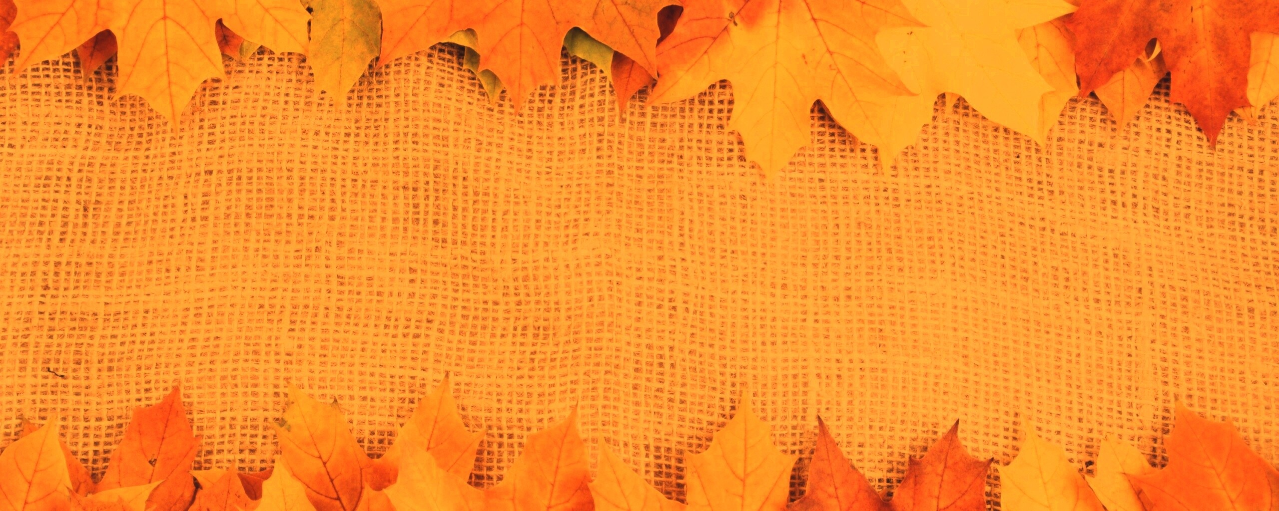 Желтые кленовые листья на холсте обои