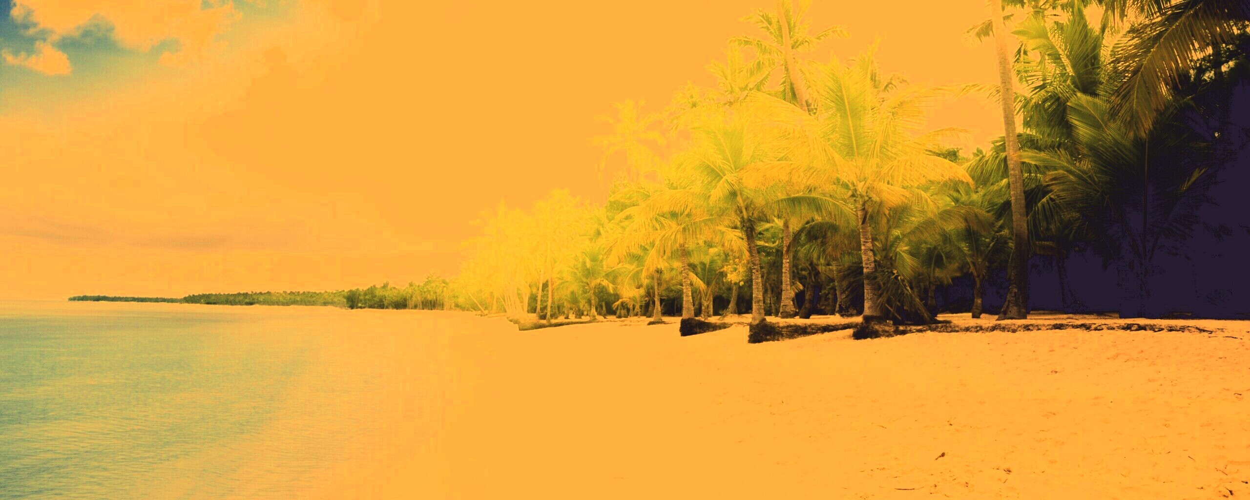 Тропическое побережье обои
