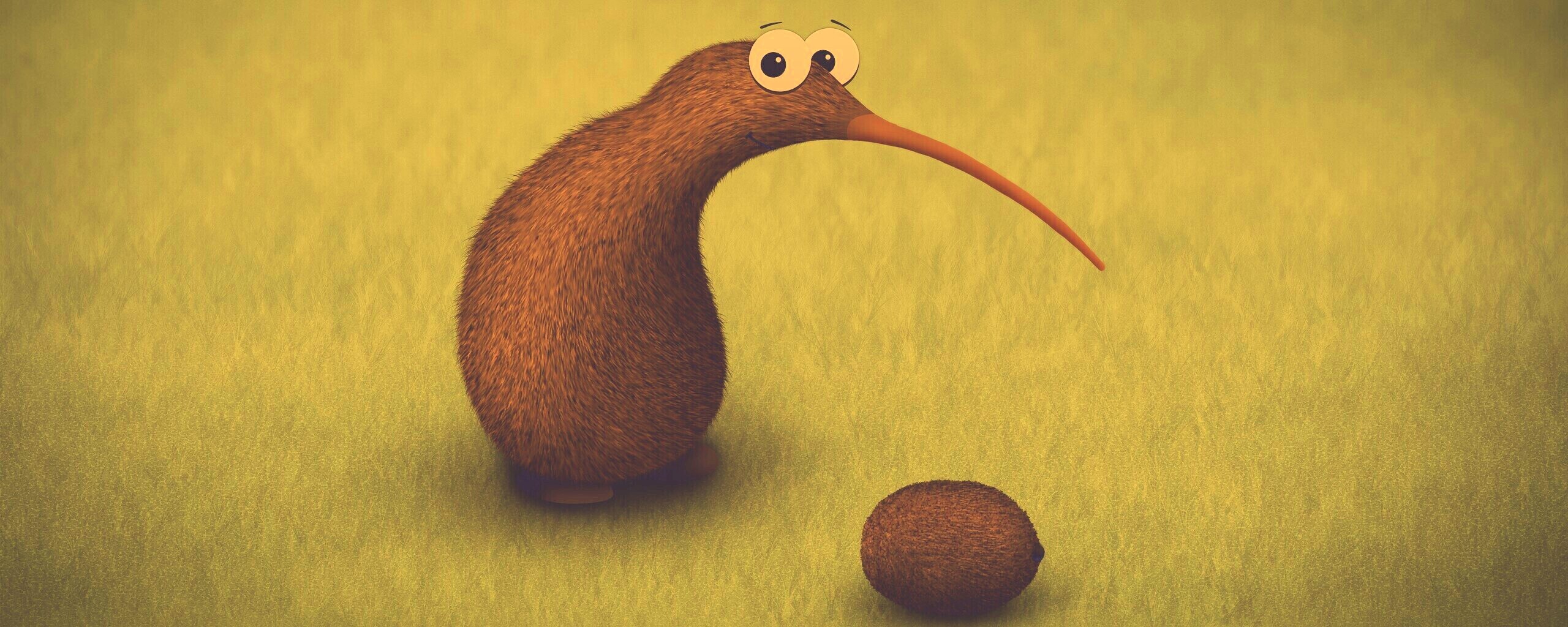 Киви и киви обои