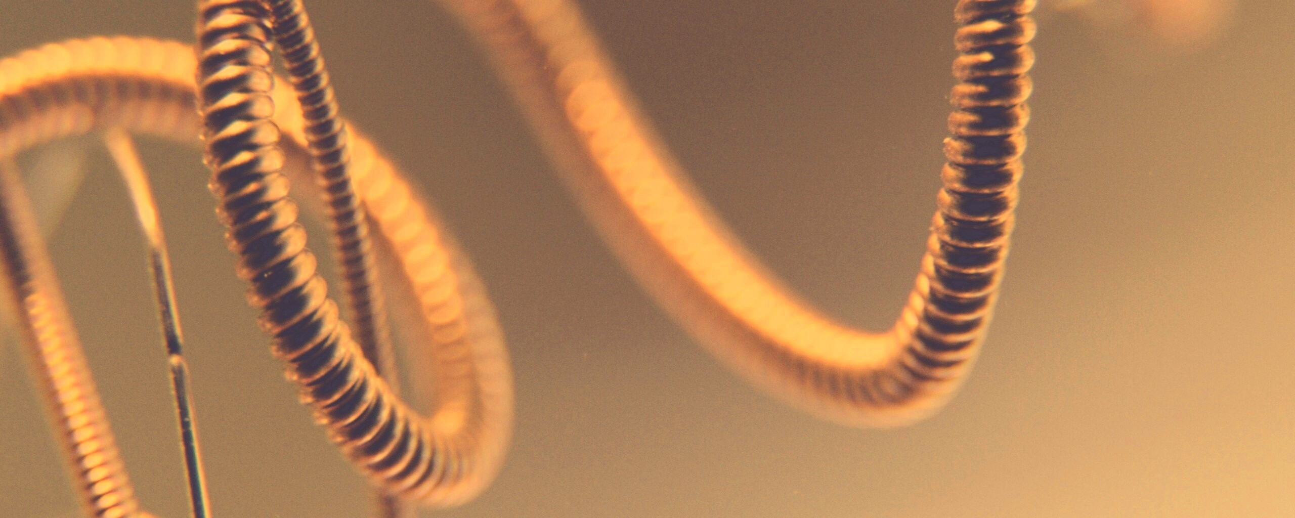 Пружина обои