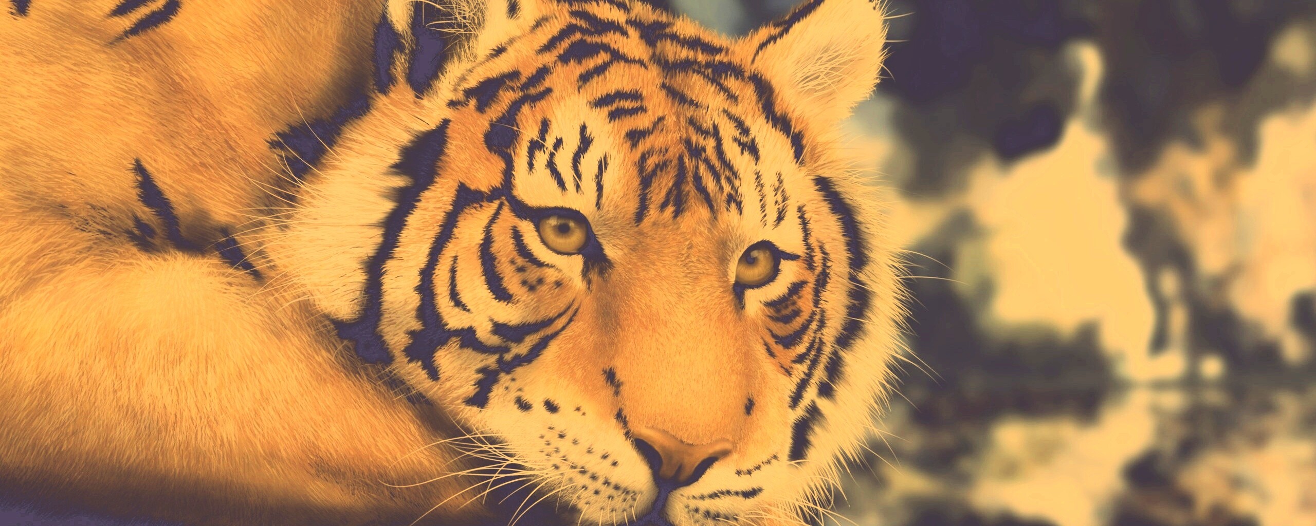 Грустный тигра обои