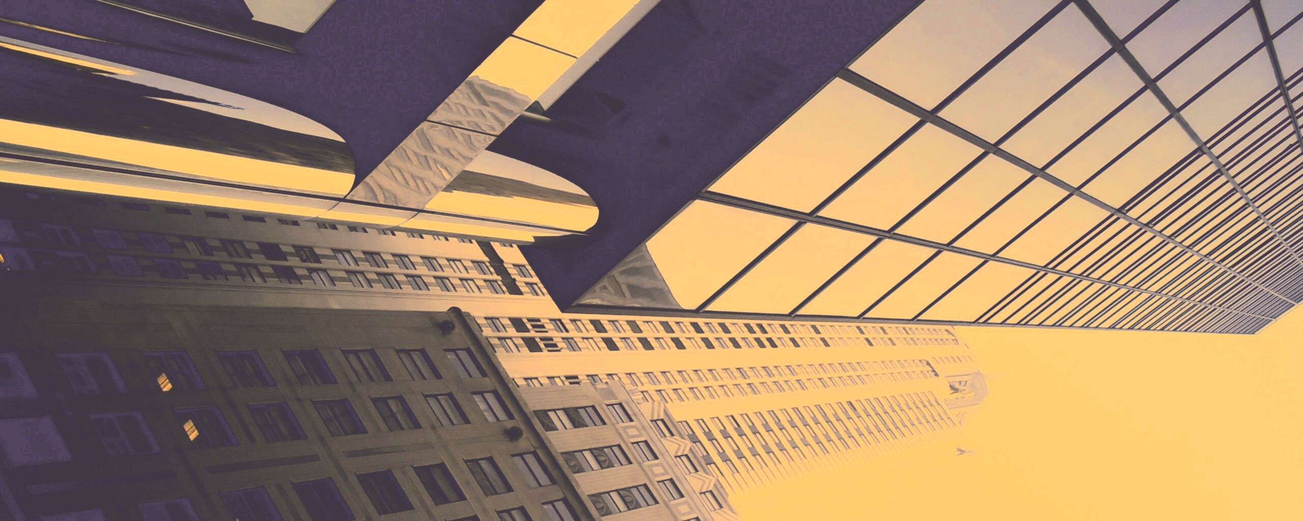 Взгляд вверх обои