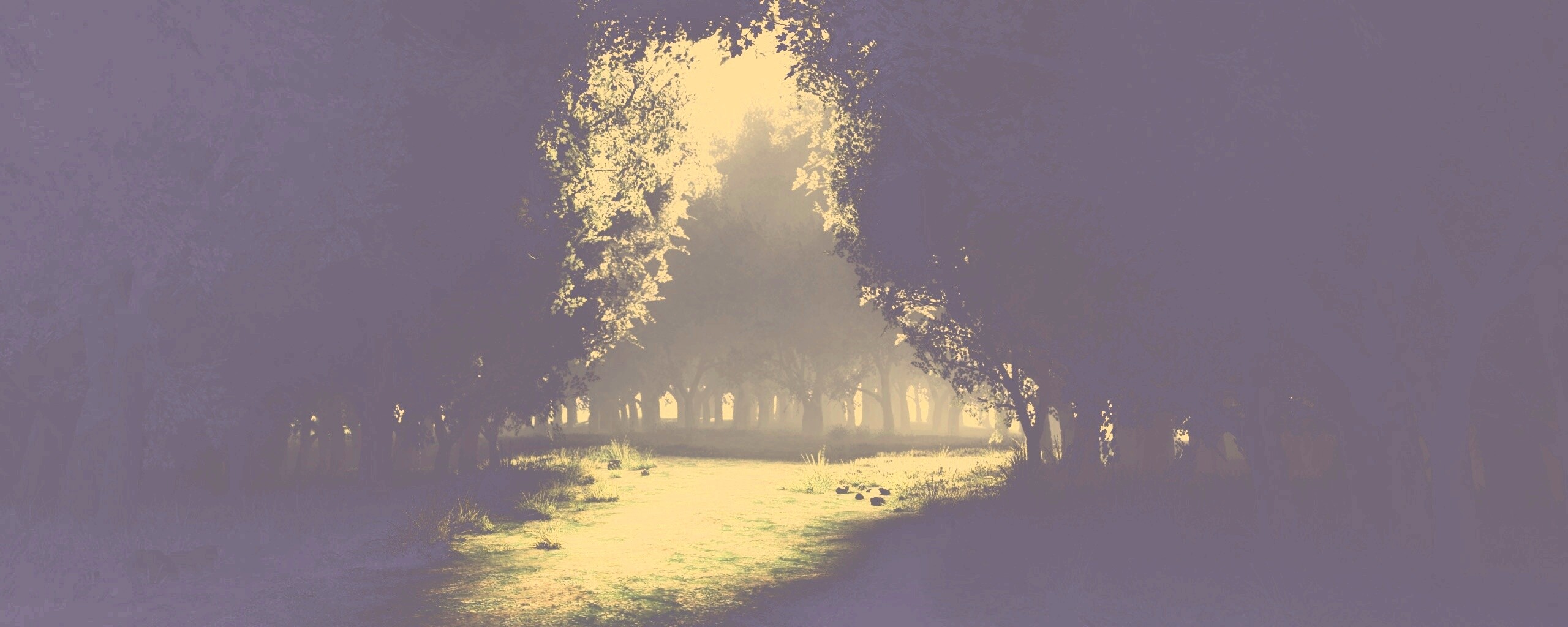 Сумерки в волшебном лесу обои