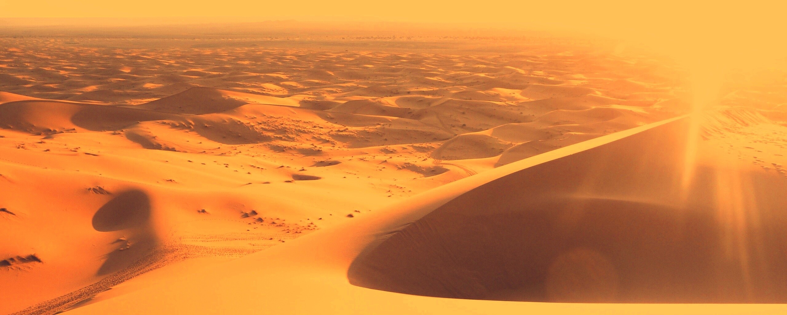Солнечная пустыня обои