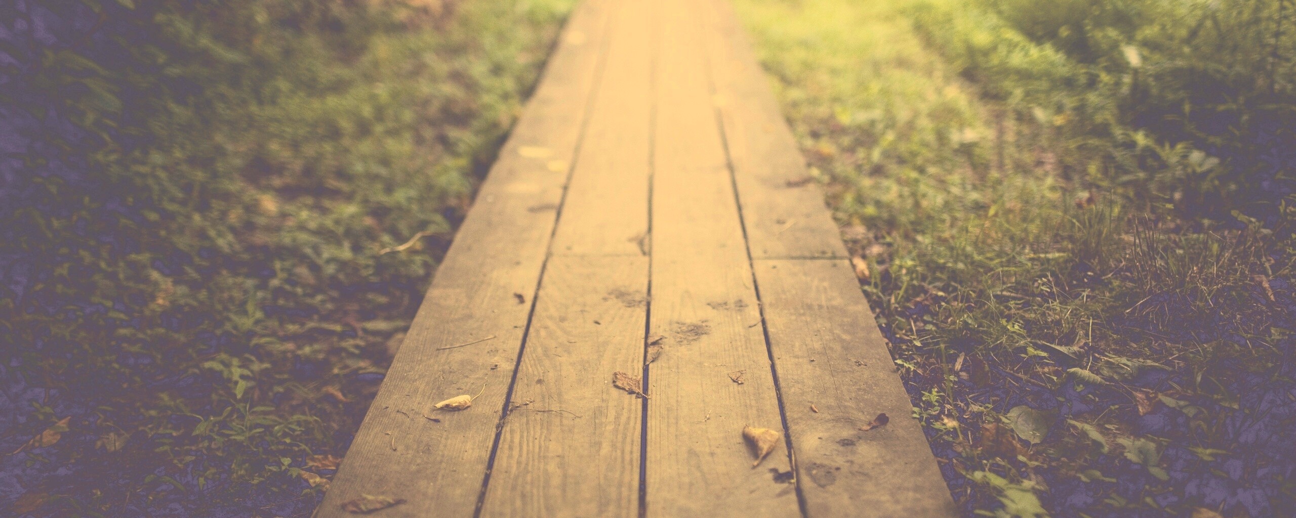 Деревянная тропинка обои