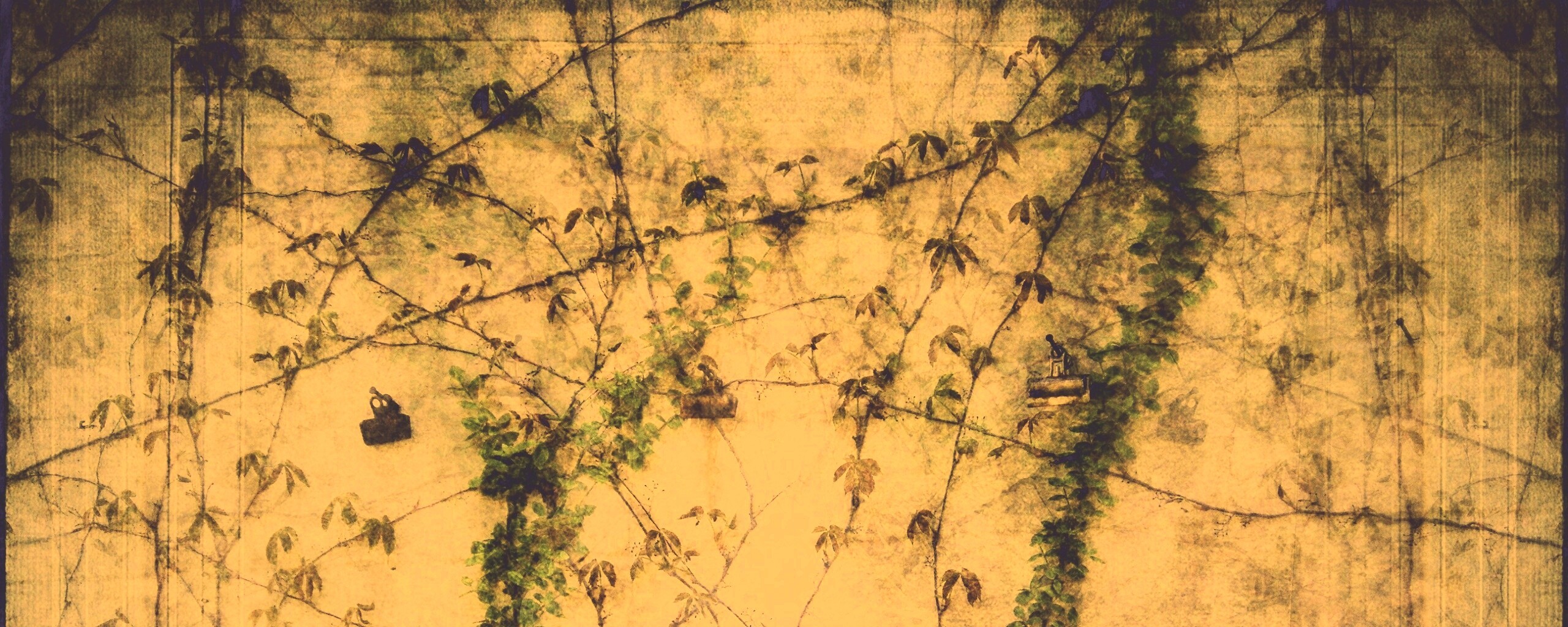 Растение на стене обои