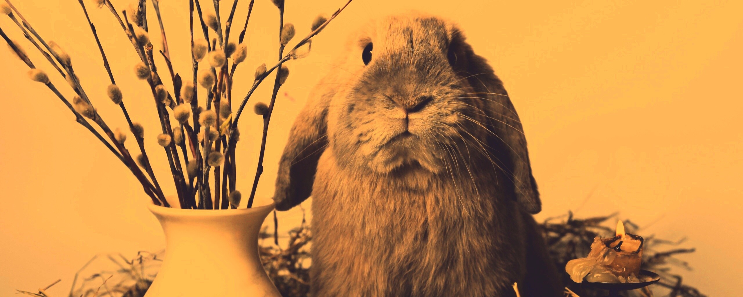 Пасхальный кролик обои