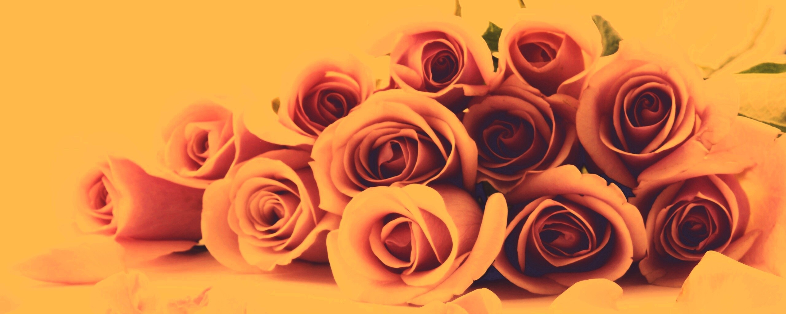 Букет роз обои