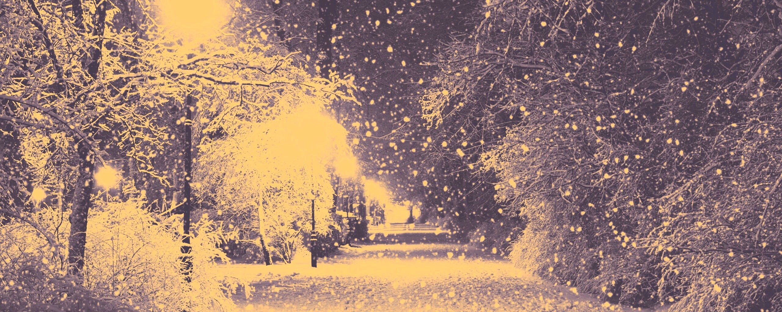 Зимняя аллея обои